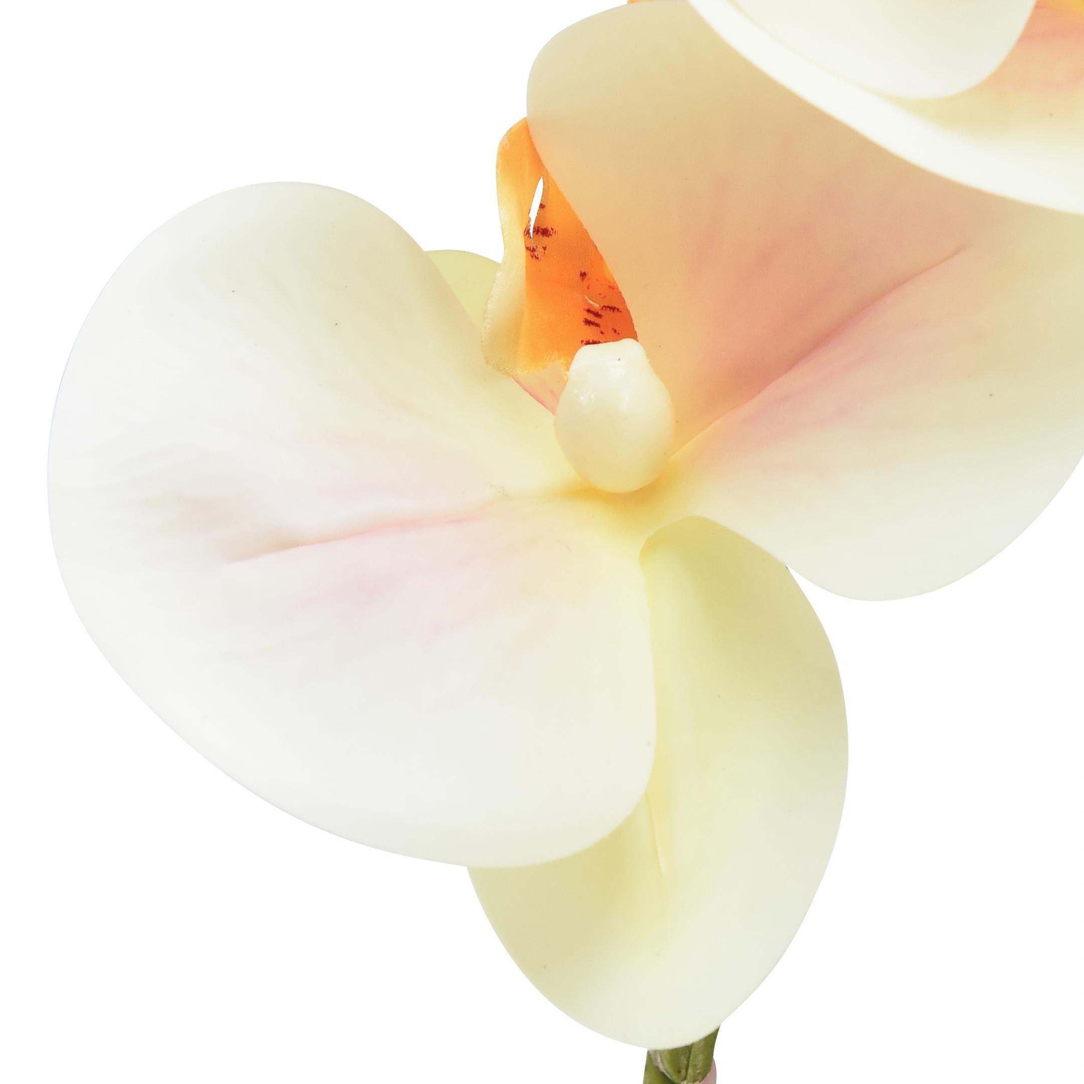 Kunstorchidee Künstliche Orchidee Creme Orange 78cm günstig online kaufen