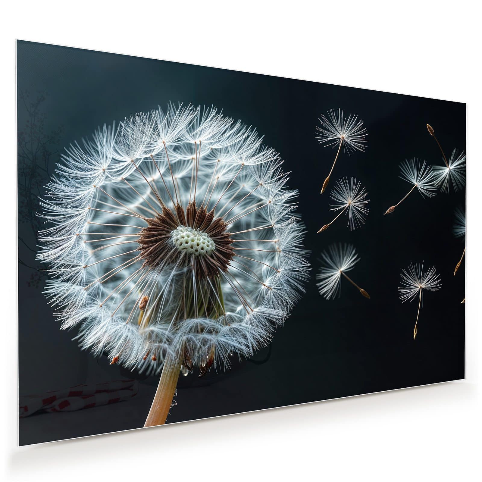 Glasbild Wandbild Pusteblume im Wind mit Aufhängung