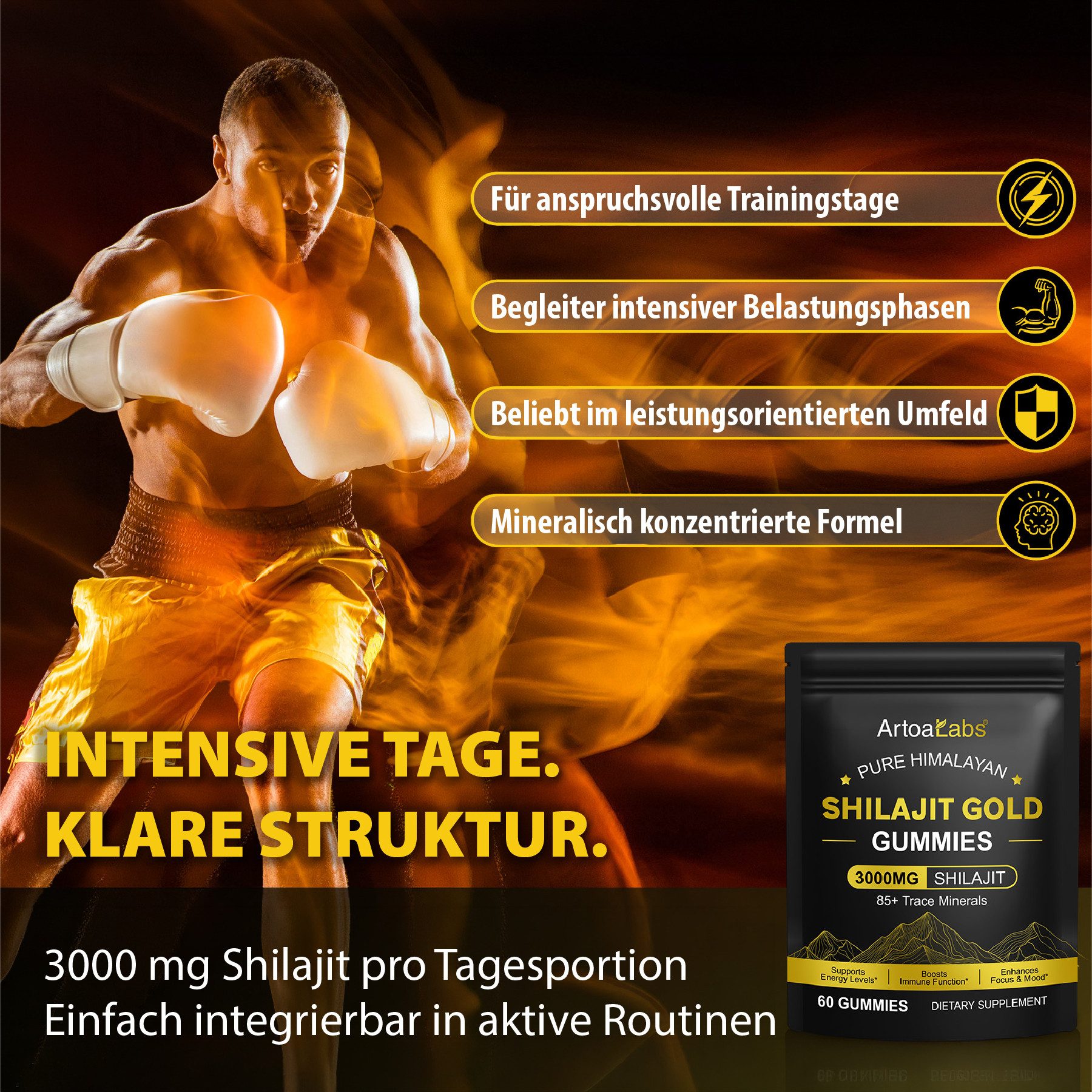P-Beauty Cosmetic Accessories Himalayan Shilajit Gold Gummies Gummibärchen Fulvosäure 3000mg Gummies, SHILAJIT, Nahrungsergänzungsmittel, Vitamine