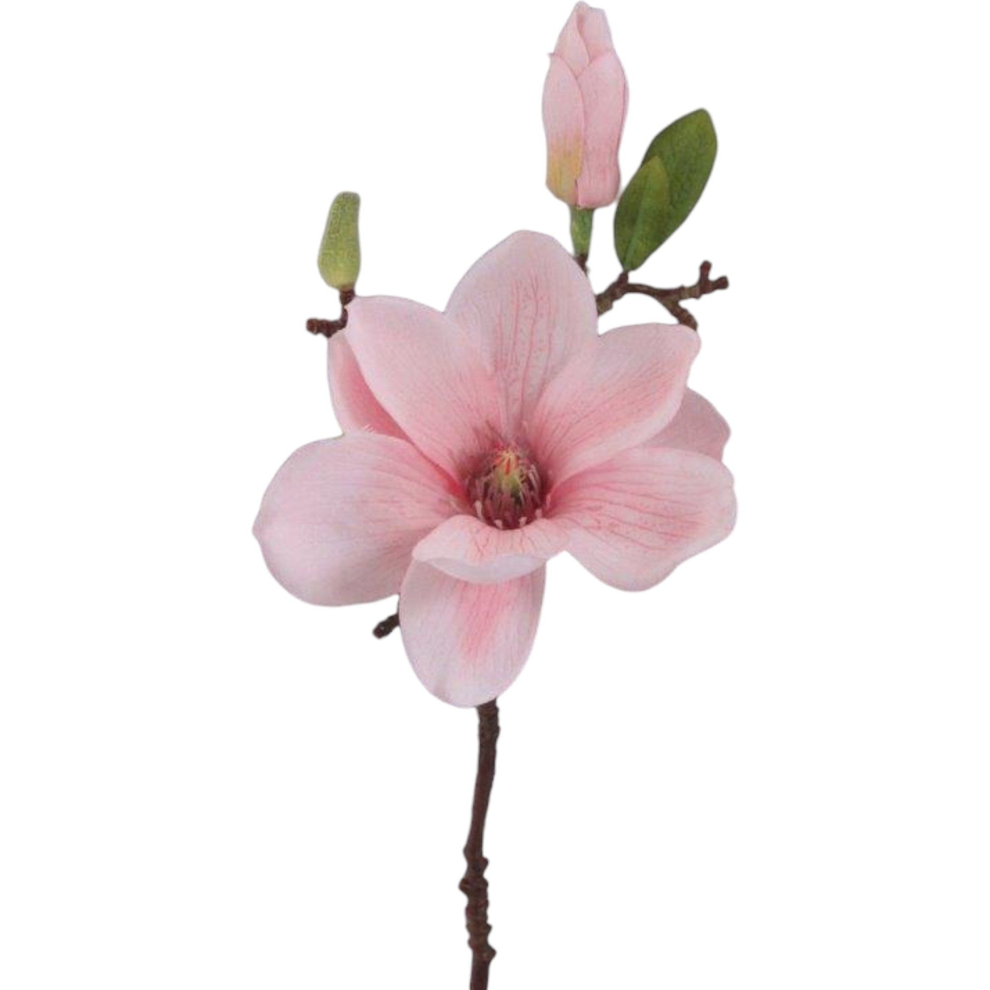 Kunstblume Kunstblume MAGNOLIE 37cm. Mit Magnolienblüte und Knospe., Gasper günstig online kaufen