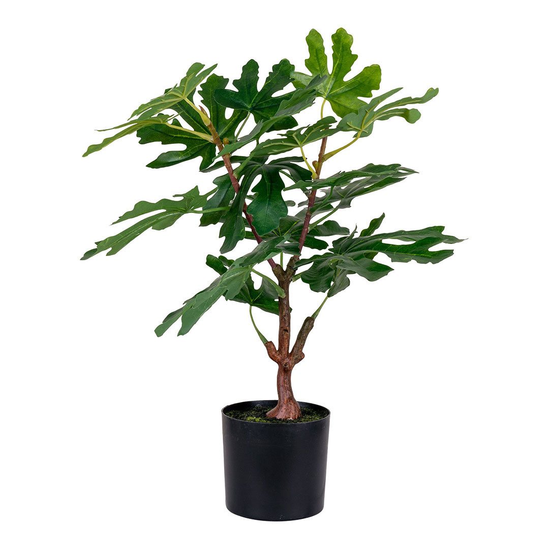 Kunstpflanze Figentræ Künstliche Pflanze H60 cm grün., House Nordic, Höhe 60 cm