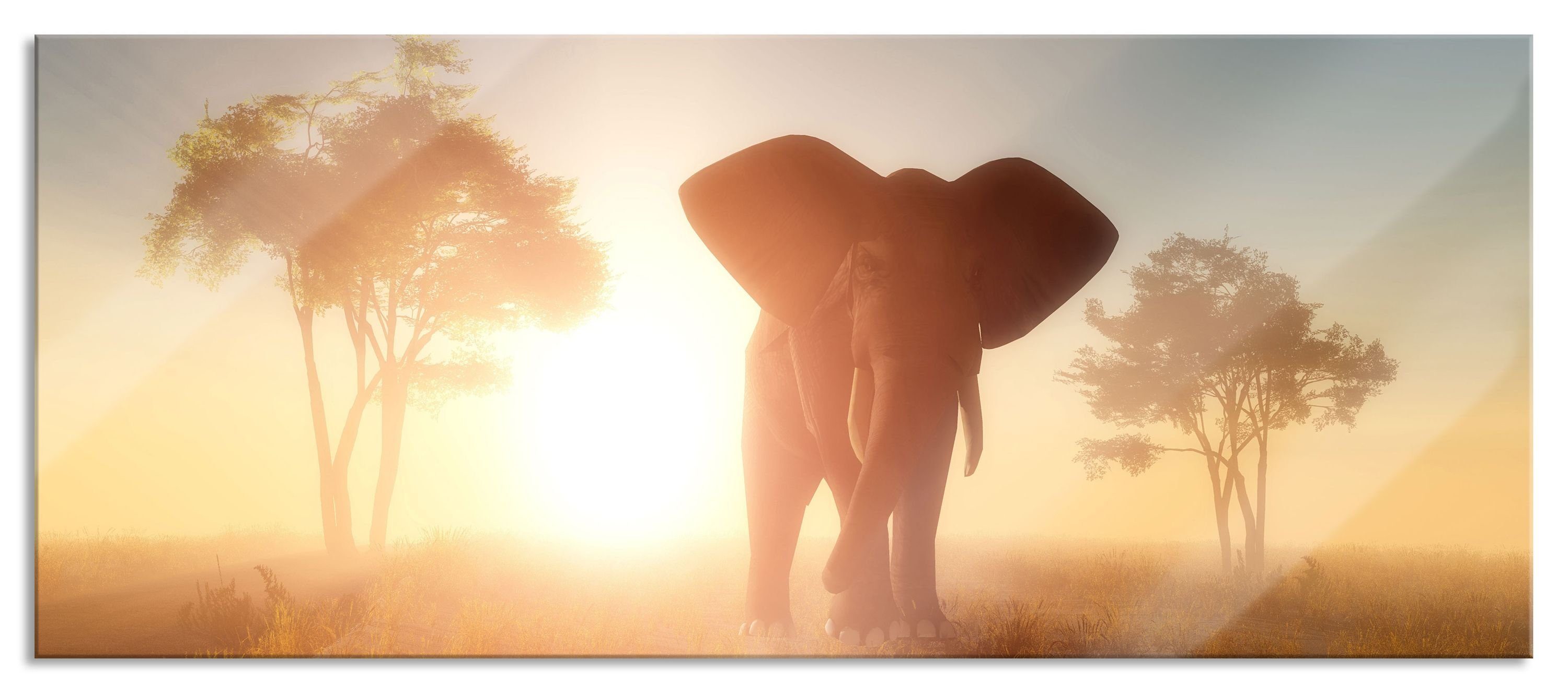 Glasbild Elefant in der Wüste