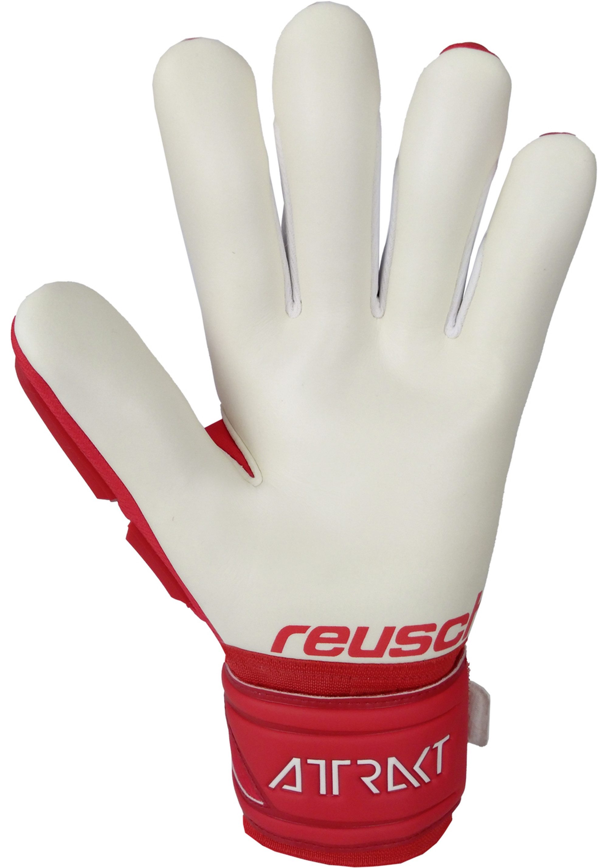 Reusch Torwarthandschuhe Attrakt Freegel Silver mit Evolution Negative Cut