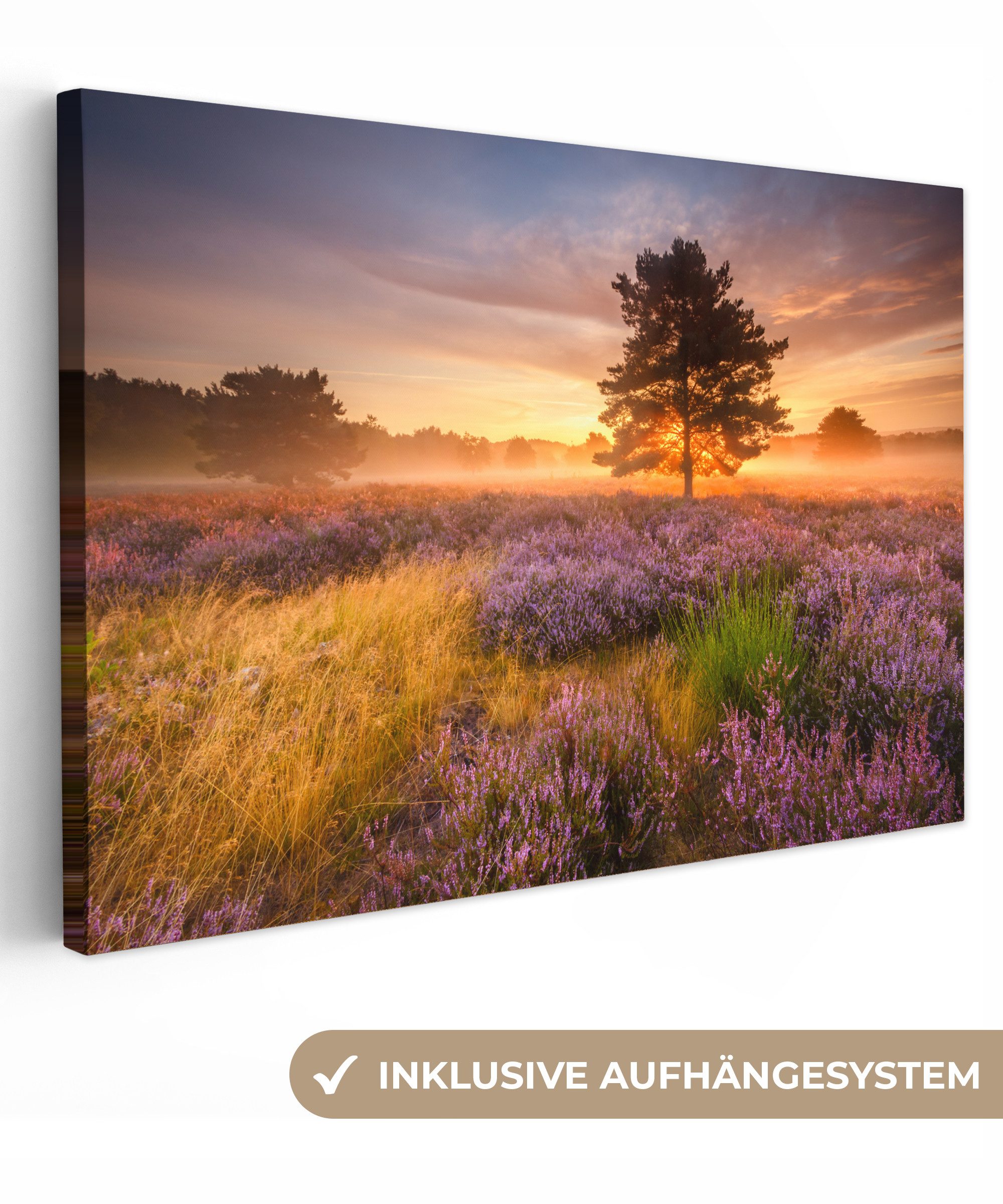 OneMillionCanvasses® Leinwandbild Heidelandschaft mit einem Baum, Fotodruck günstig online kaufen