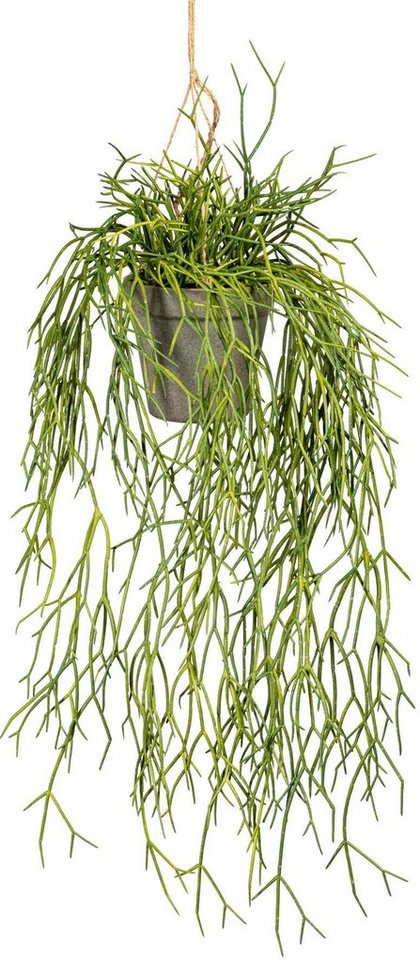 Kunstranke Rhipsalishänger Rhipsalis, Creativ green, Höhe 60 cm