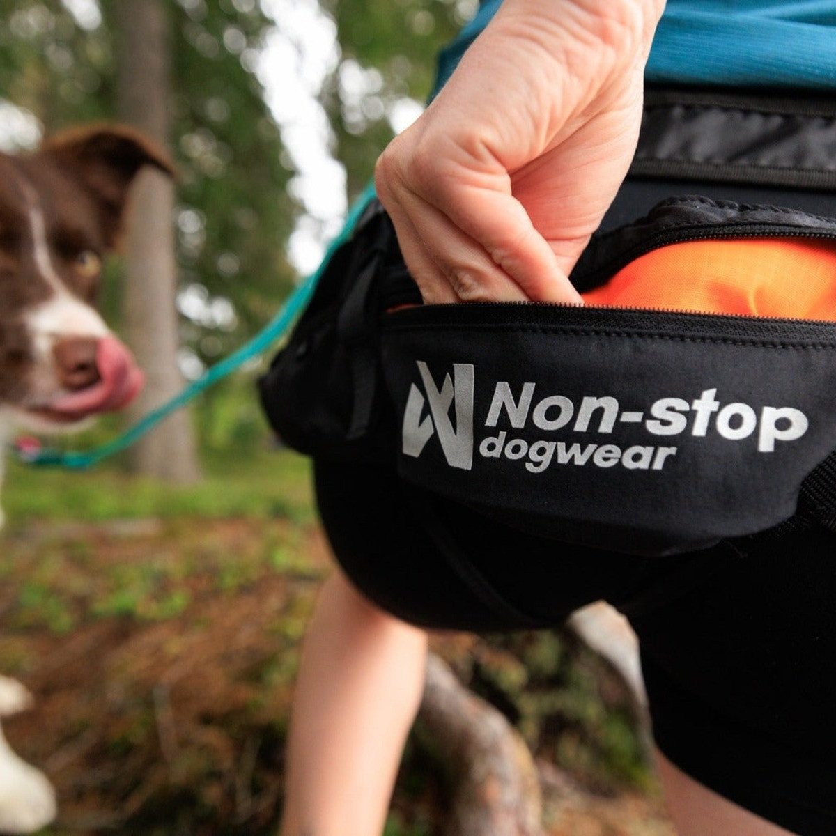 Non-stop dogwear Gürteltasche Hüftgurt CaniX Belt 3.0 – Bild 3 von 5