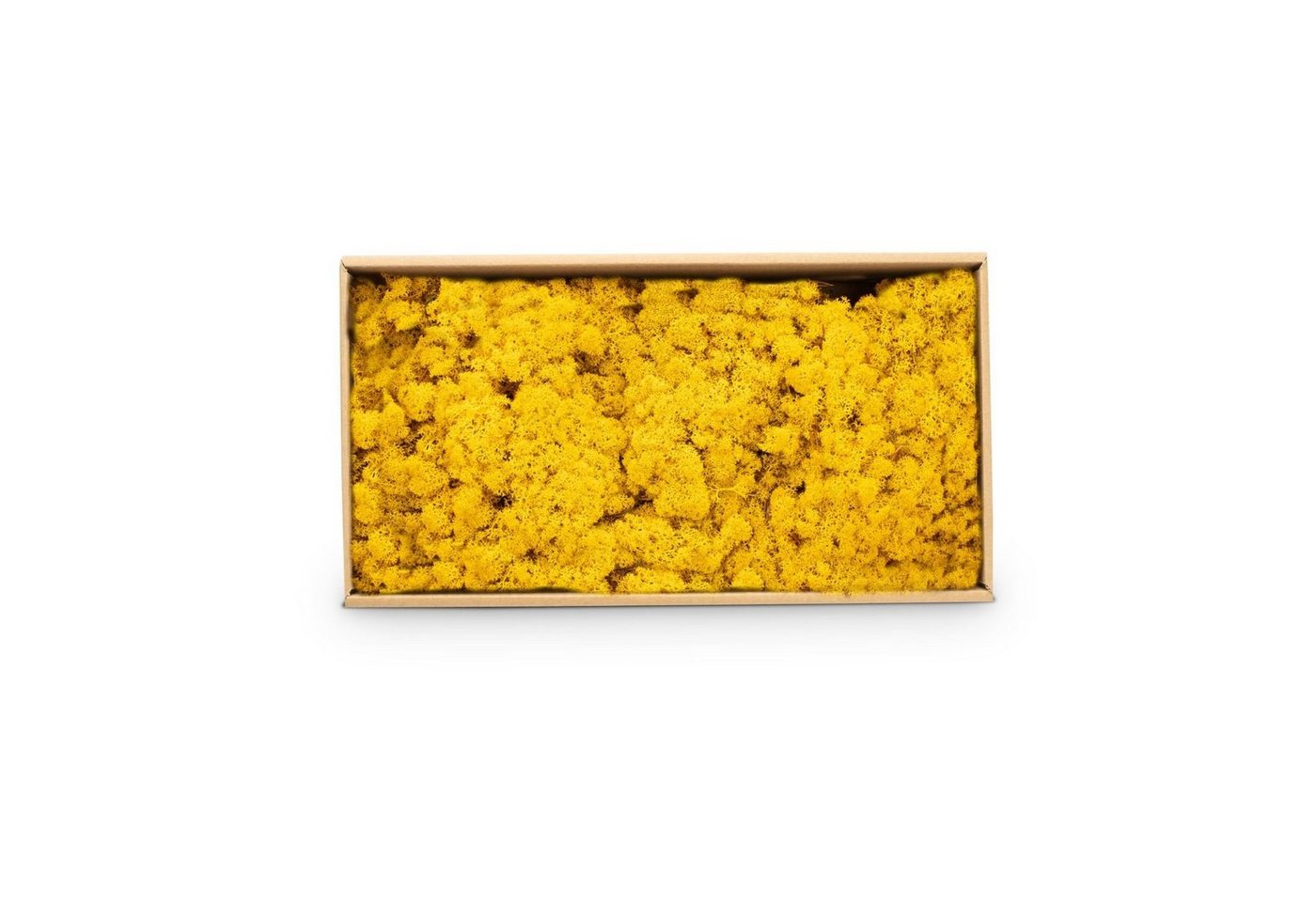 Thumbnail - NaDeco Bastelnaturmaterial Islandmoos Gelb 500g