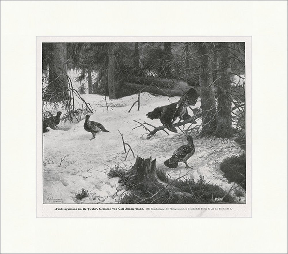 Kunstdruck Frühlingsminne im Bergwald Auerhähne Wald Tiere Vögel Schnee F_Vintage