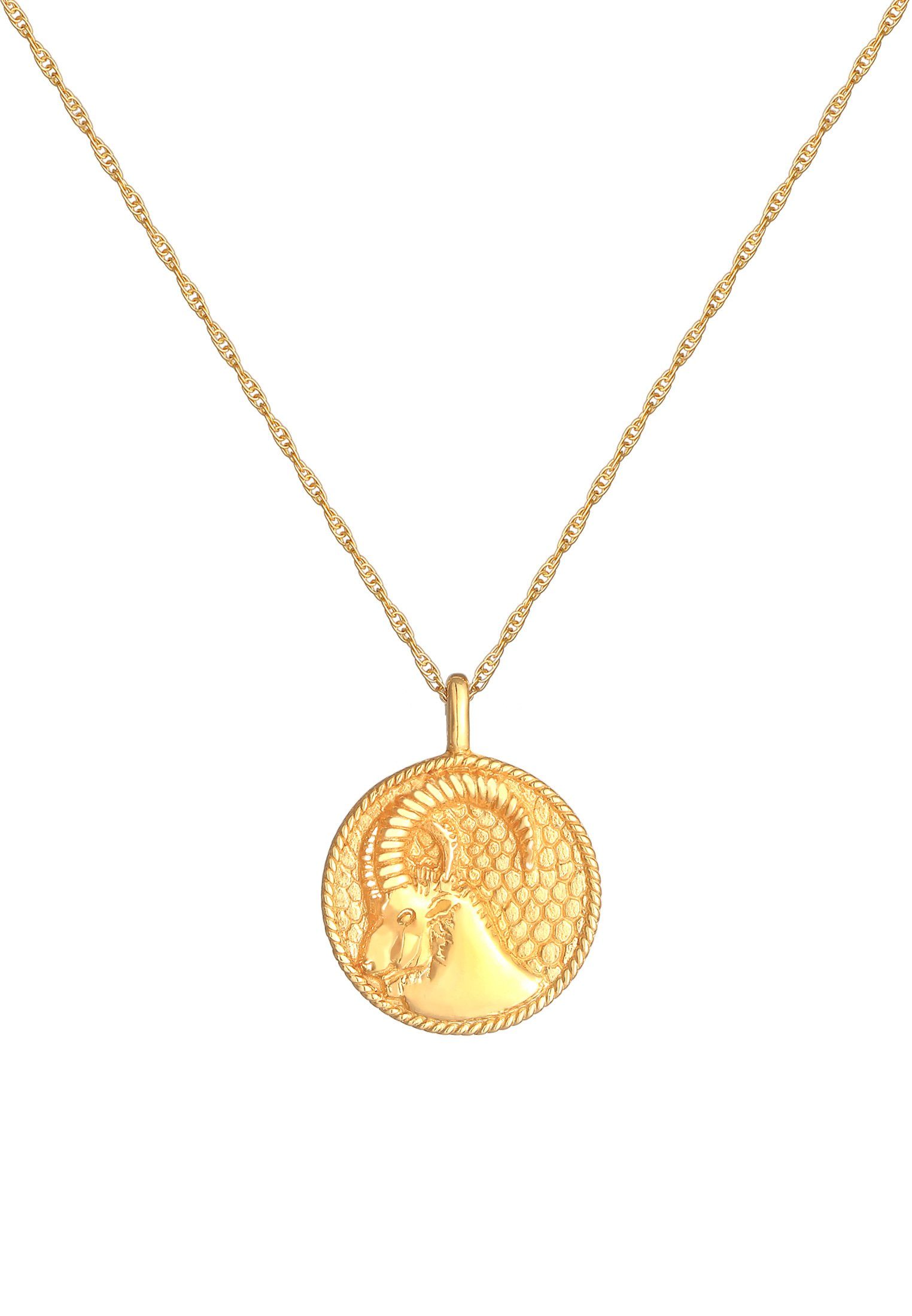 Elli Kette mit Anhänger Sternzeichen Steinbock Astro Münze 925 Silber, Sternzeichen