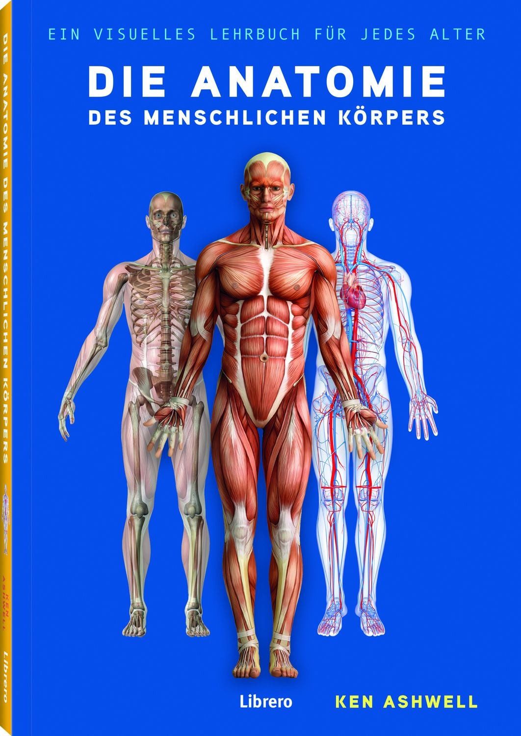Die Anatomie des Menschlichen Körpers Der Menschliche Körper / Ken Ashwell, Der Menschliche Körper