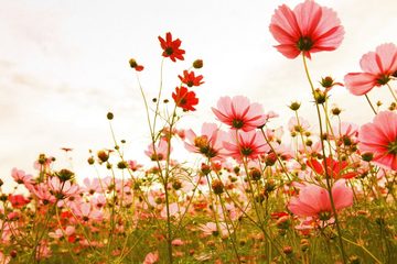 A.S. Création Leinwandbild Flower Meadow, Blumen (1 St), Mohnblume Keilrahmen Blumenwiese