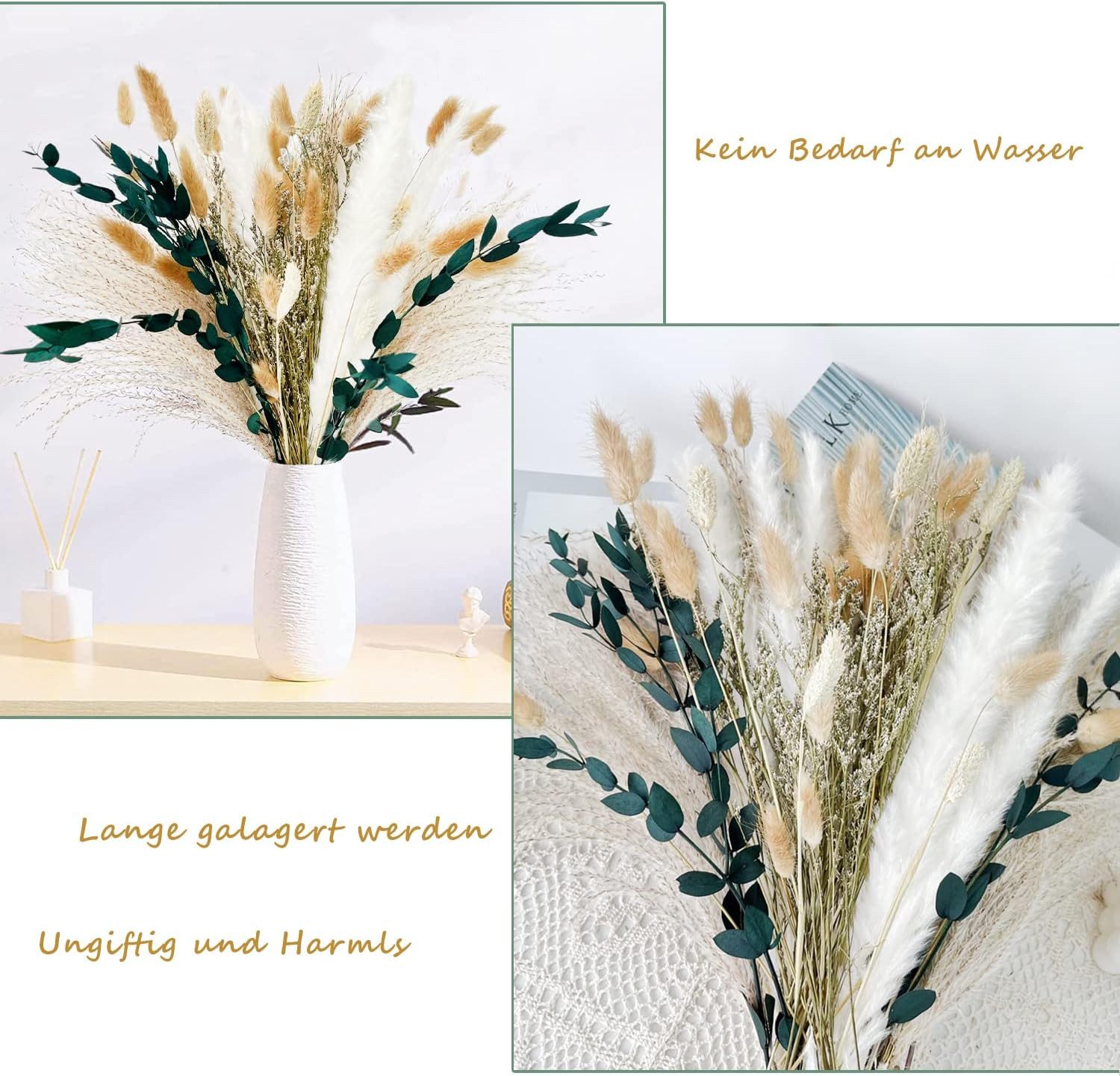 Trockenblume Pampasgras Getrocknet 65 Stück DIY Natürliche Trockenblumen Deko, Toomoke, Höhe 45 cm, Getrocknete Blumen für Hochzeit Boho Deko Wohnzimmer Hochzei – Bild 4 von 5