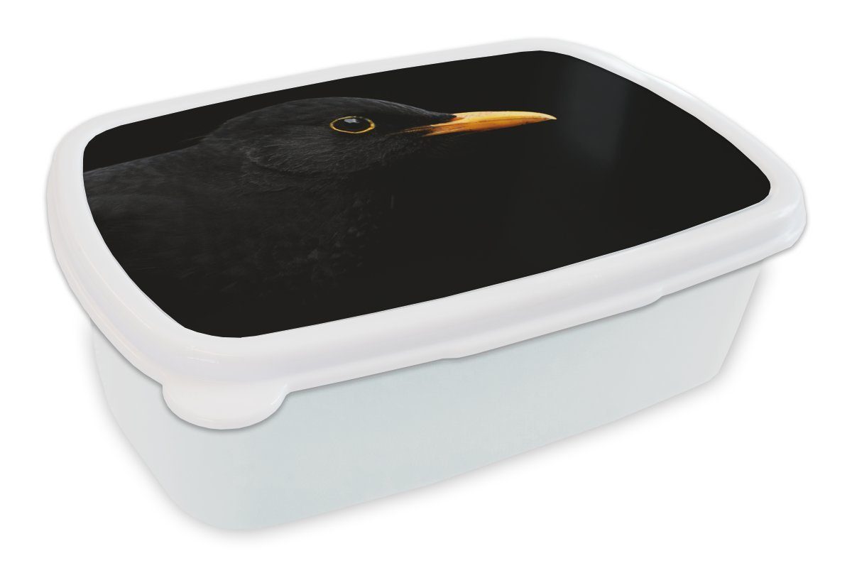 MuchoWow Lunchbox Schwarze Amsel auf dunklem Hintergrund, Kunststoff, (2-tlg), Brotbox für Kinder und Erwachsene, Brotdose, für Jungs und Mädchen weiß