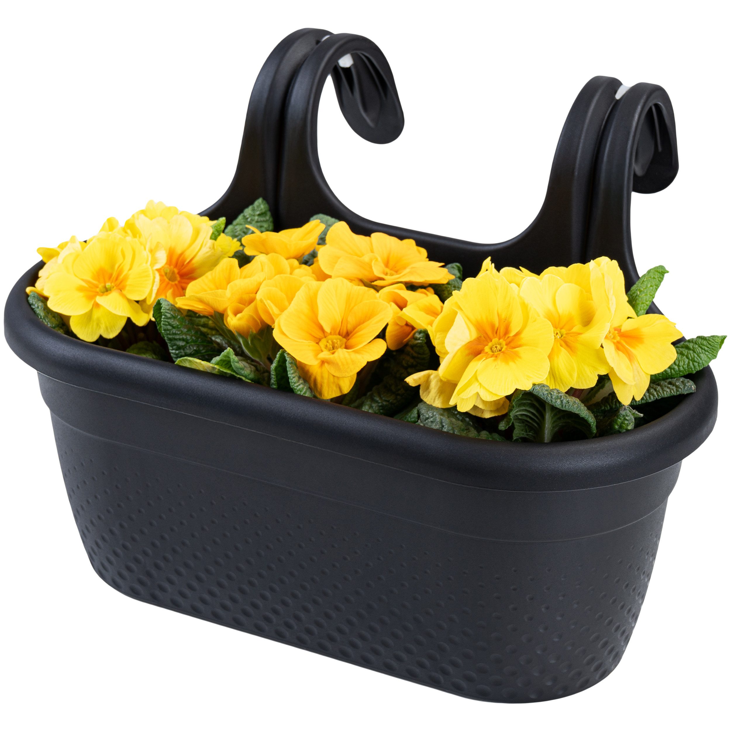 KONZEPT Balkonkasten Balkon Blumenkasten mit Halterung günstig online kaufen