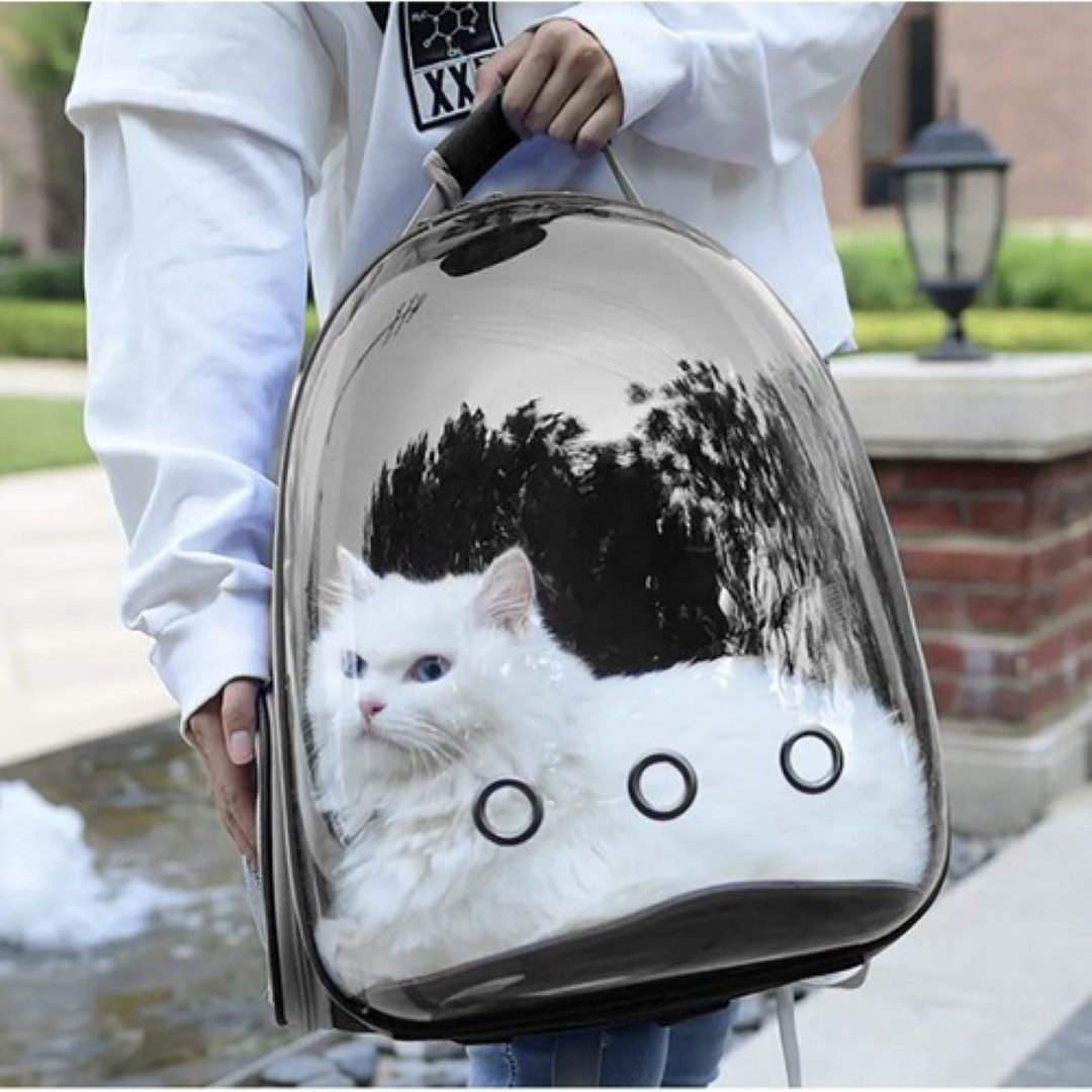 Purlov Tiertransporttasche Tiertransport-Rucksack für Katzen, Hunde und kleine Haustiere" bis 5,00 kg, Transparente Plexiglas-Front