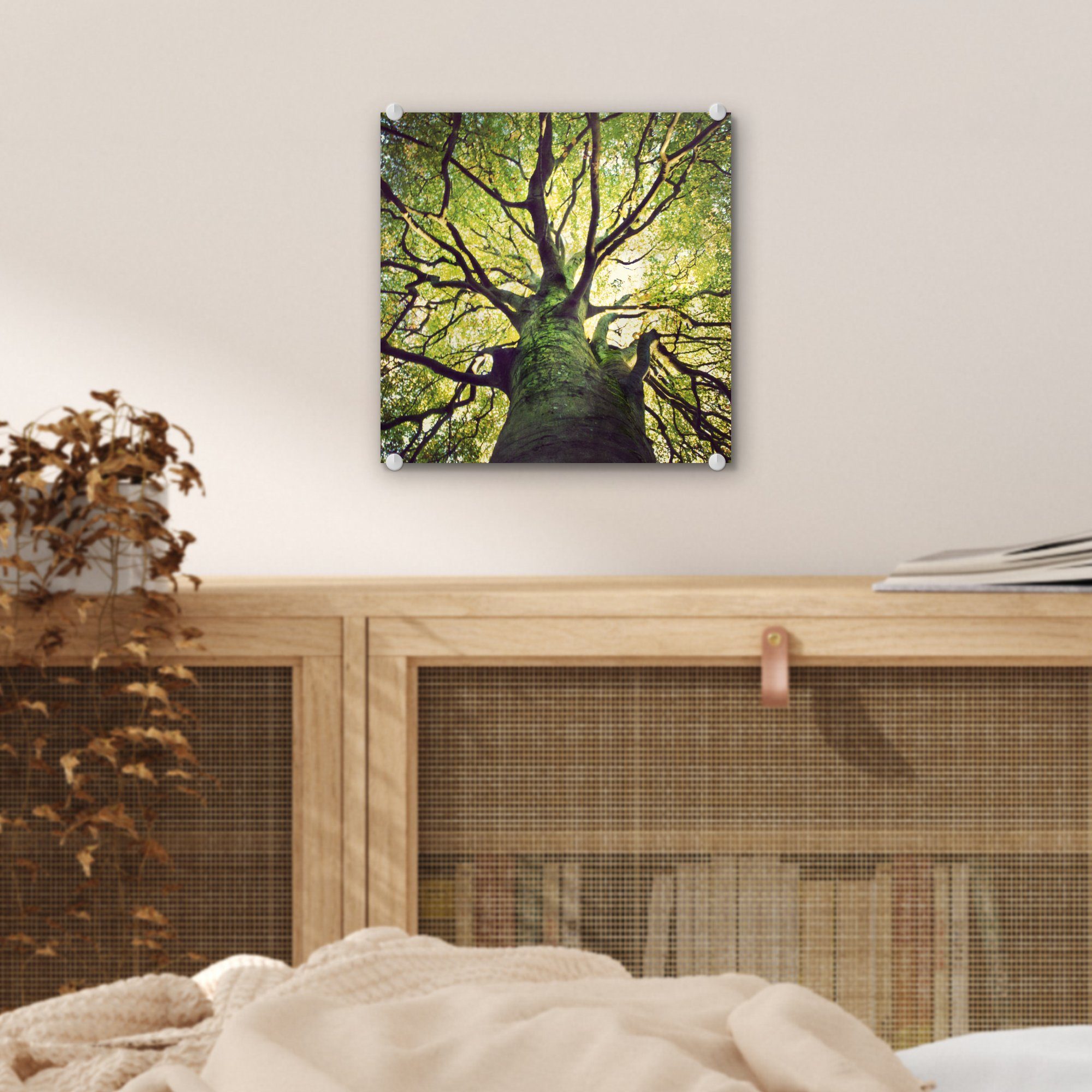 Beruhigende Bilder Wanddekoration St), Zweige (1 Acrylglasbild auf Foto - - MuchoWow eines - Baumes, Glas Wandbild auf Glas grünen Glasbilder