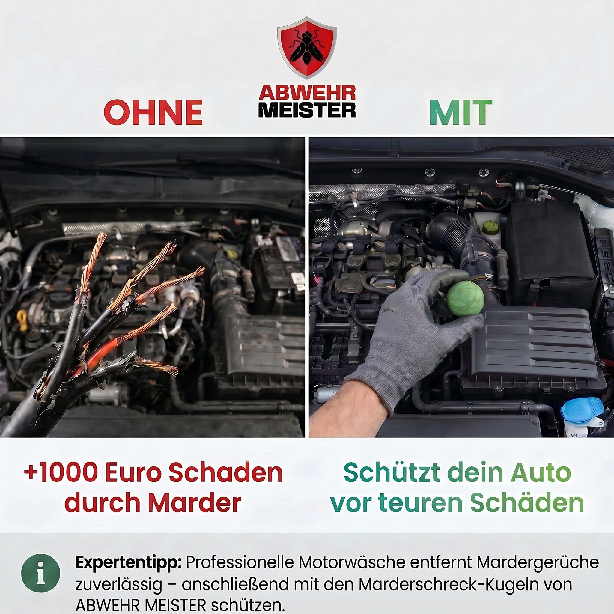 ABWEHR MEISTER Vergrämungsmittel ORIGINAL Marderschreck-Kugeln, Set, 4-St., Marderschutz für bis zu 6 Monate – Bild 5 von 5