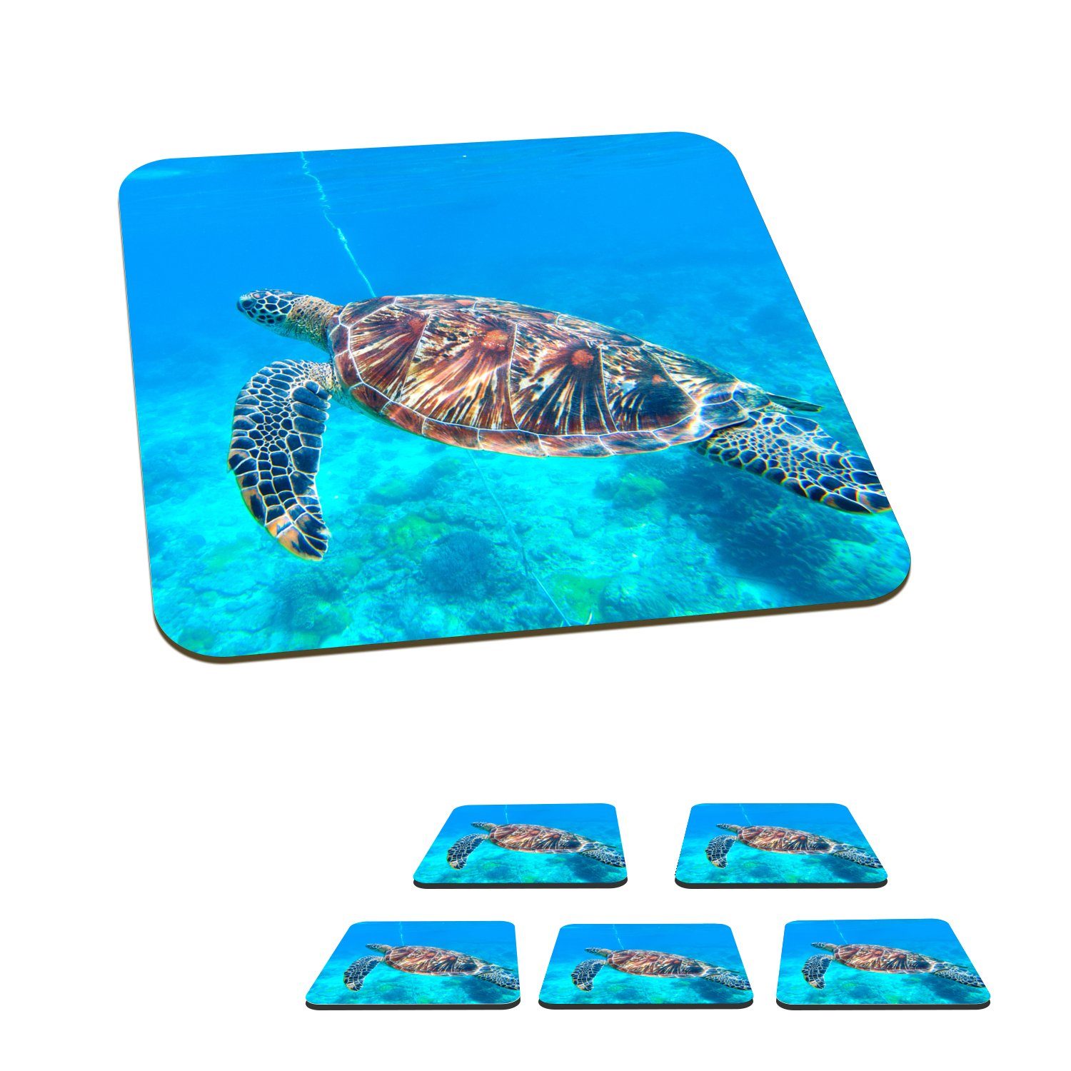 Glasuntersetzer, Tischuntersetzer, Schildkröte - für Zubehör MuchoWow Tasse - 6-tlg., Meer Glasuntersetzer Wasser, Gläser, Korkuntersetzer, Untersetzer,