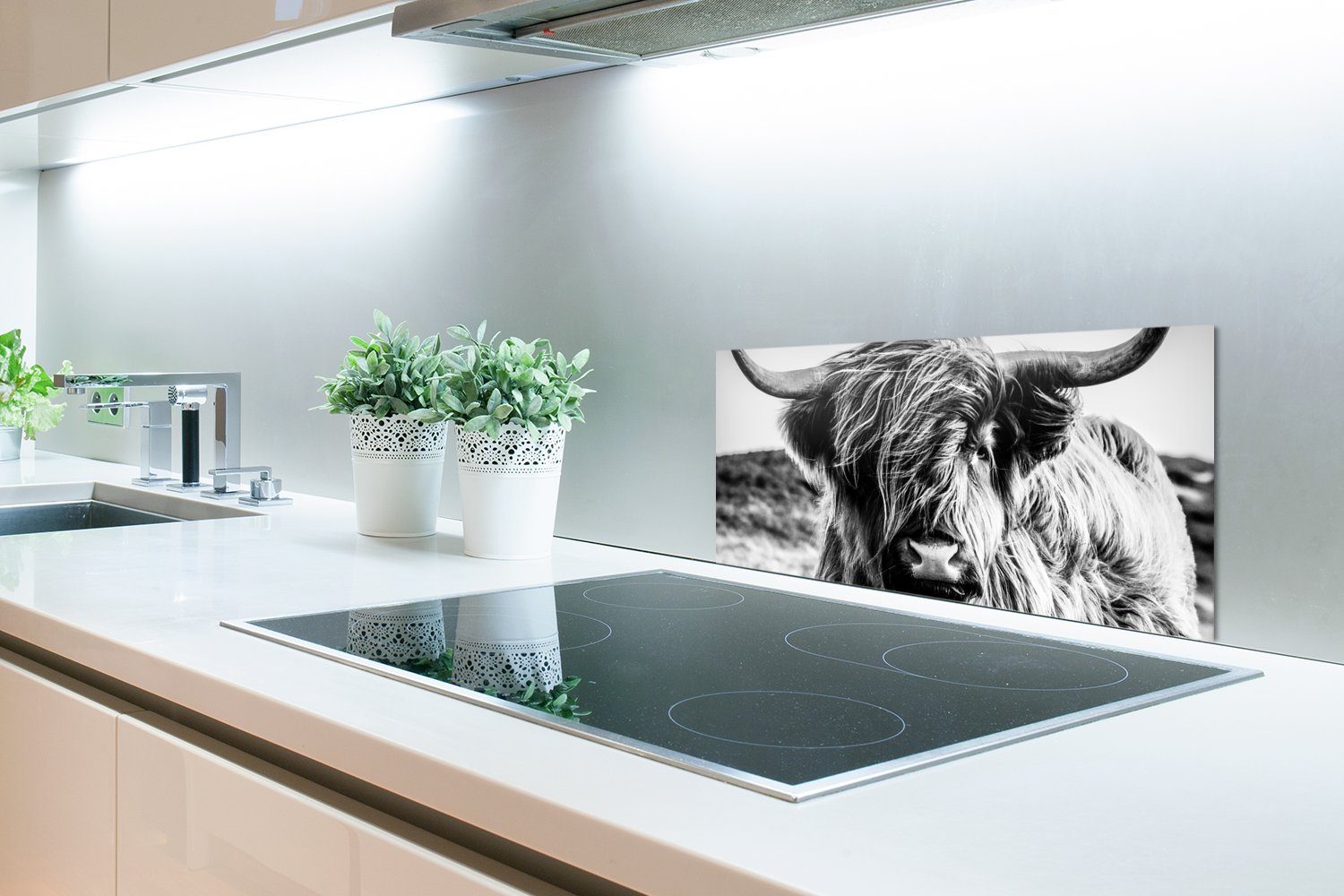 MuchoWow Küchenrückwand Kuh - (1-tlg), Weiß - und Fett Hochländer für Schwarz 60x30 cm, Schmutzflecken Schottischer -, Küchen - - Natur - Tier Wandschutz, gegen