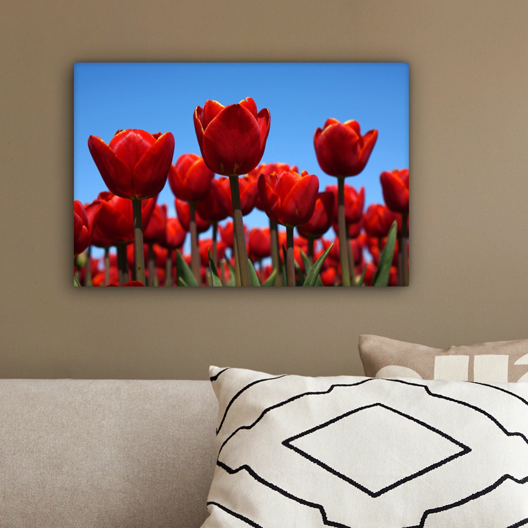 cm Leinwandbilder, Rote OneMillionCanvasses® Leinwandbild Tulpe, Aufhängefertig, 30x20 (1 St), Wandbild Wanddeko, Die