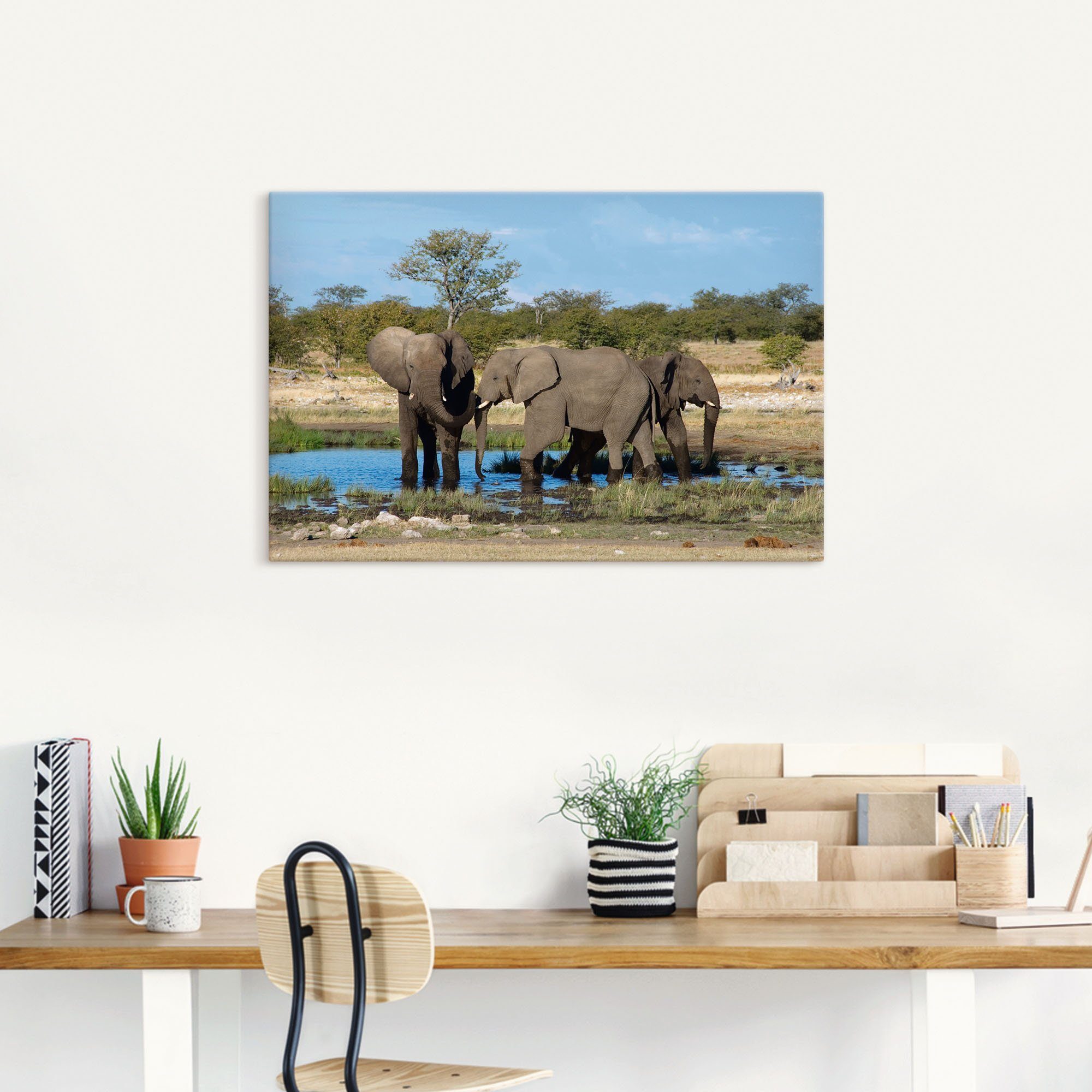 Größen Afrikanischer als Leinwandbild, Elefanten (1 Bilder EtoshaNationalpark, verschied. St), in Elefant Artland Wandaufkleber Wandbild