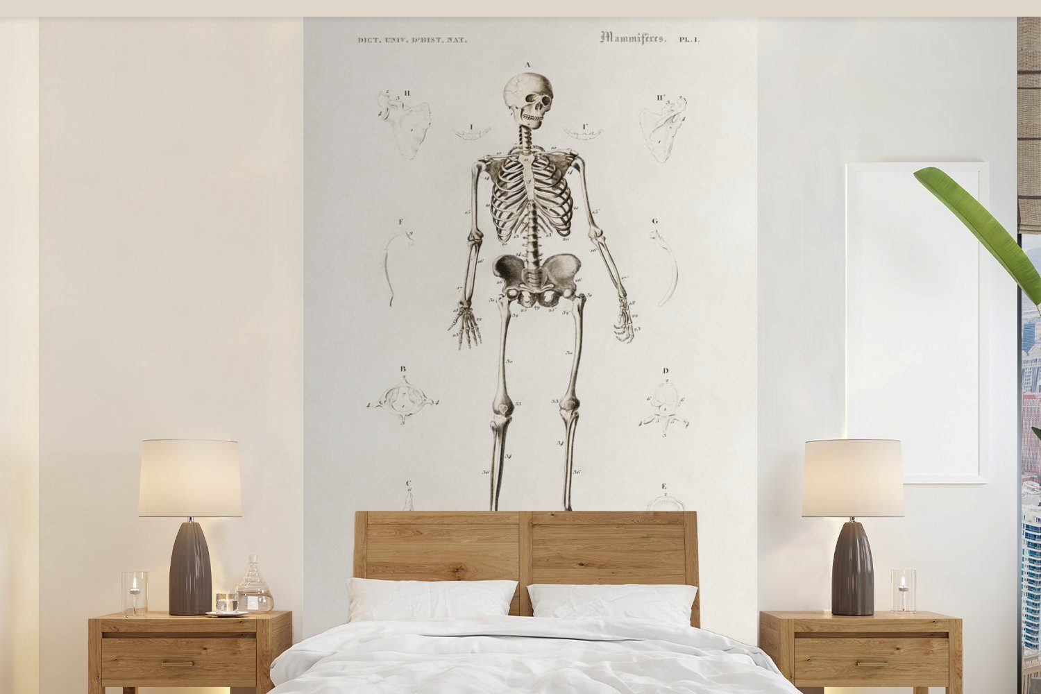 MuchoWow Fototapete Skelett - Jahrgang - Knochen, Matt, bedruckt, (3 St), Wallpaper für Wohnzimmer, Schlafzimmer, Kinderzimmer, Vinyl Tapete