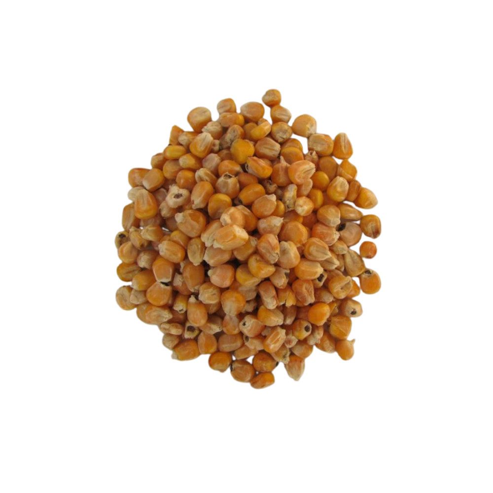 SOLIDE Futtermais gekörnt 25kg aus regionaler deutscher Ernte, für: Nager, Kleintiere, Hühner, Hasen, Masttiere