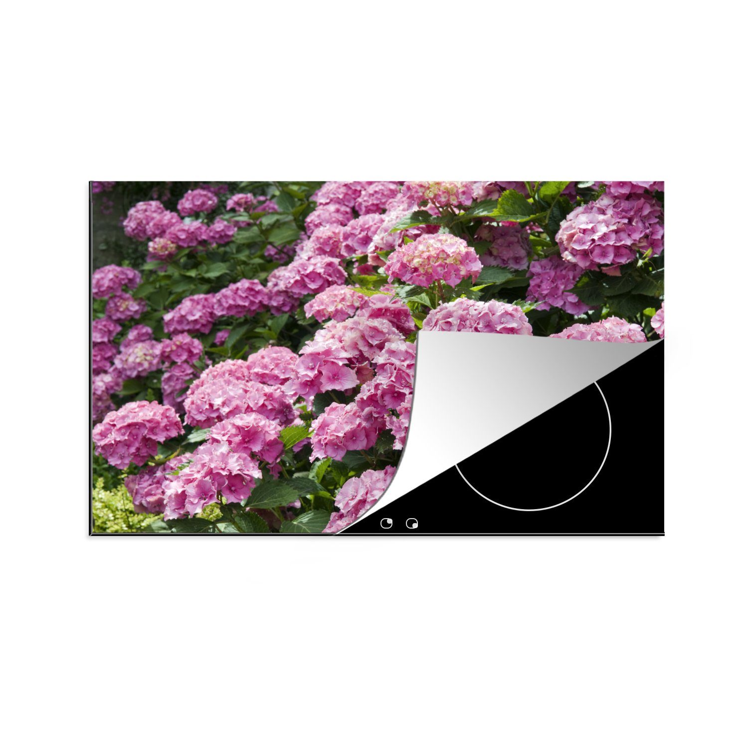 MuchoWow Herdblende-/Abdeckplatte rosa Hortensien im Sommer, Vinyl, (1 tlg), 81x52 cm, Induktionskochfeld Schutz für die küche, Ceranfeldabdeckung