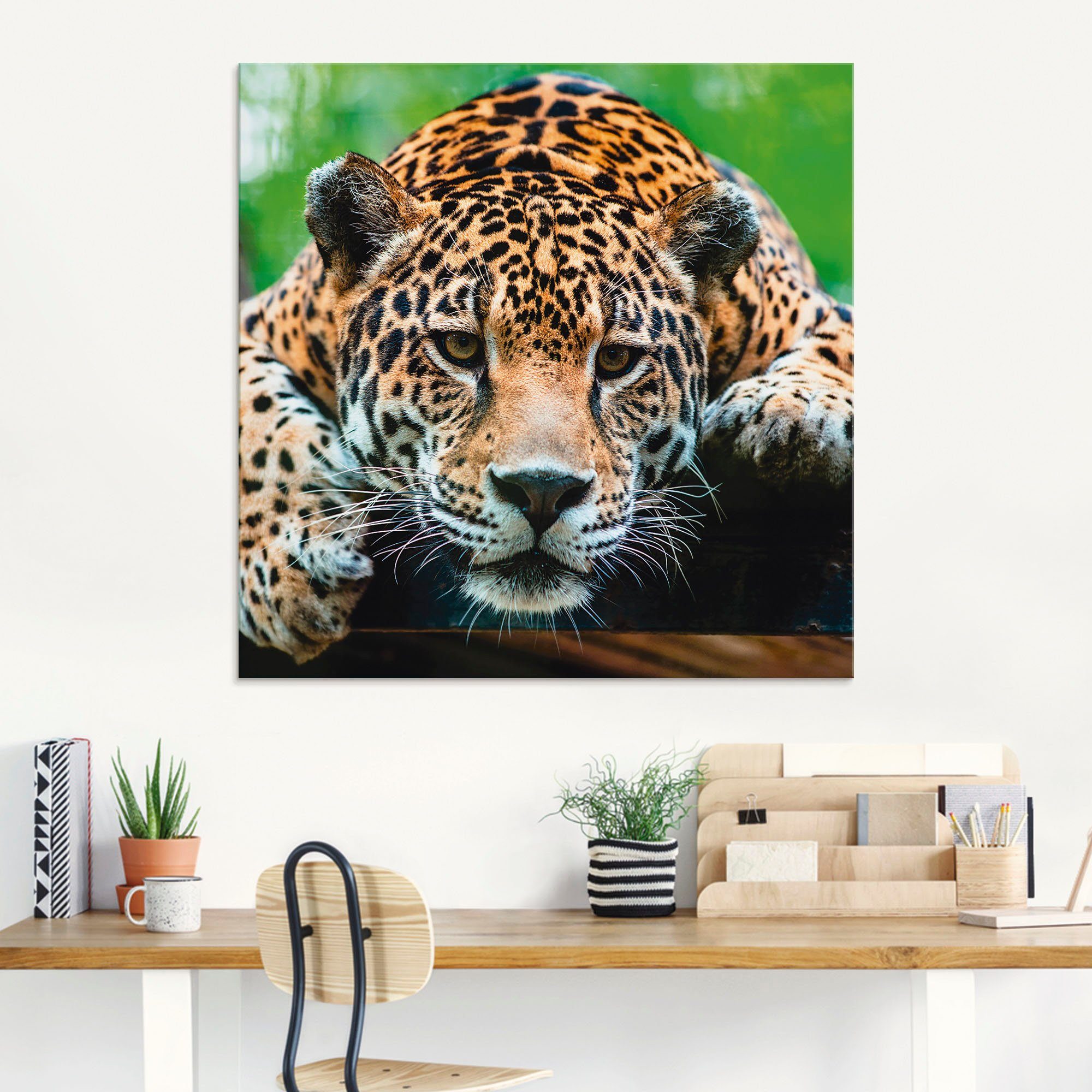 Glasbild Jaguar, (1 Wildtiere Südamerikanischer St) Artland