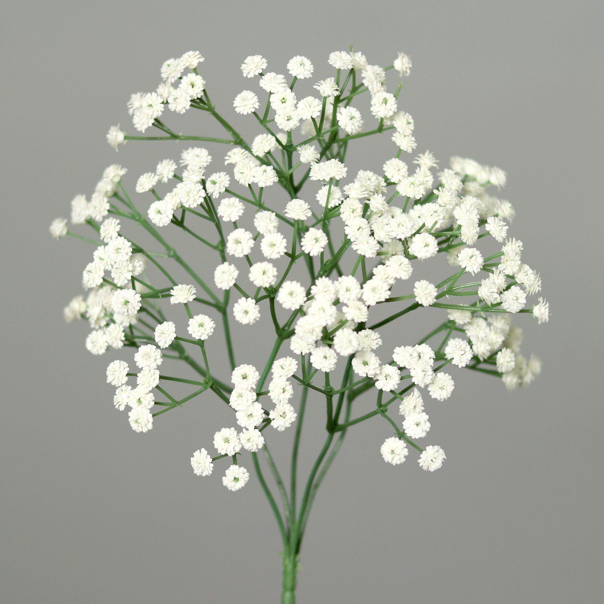 Kunstpflanze, DPI, Höhe H:38cm Kunststoff cm, 38 Weiß