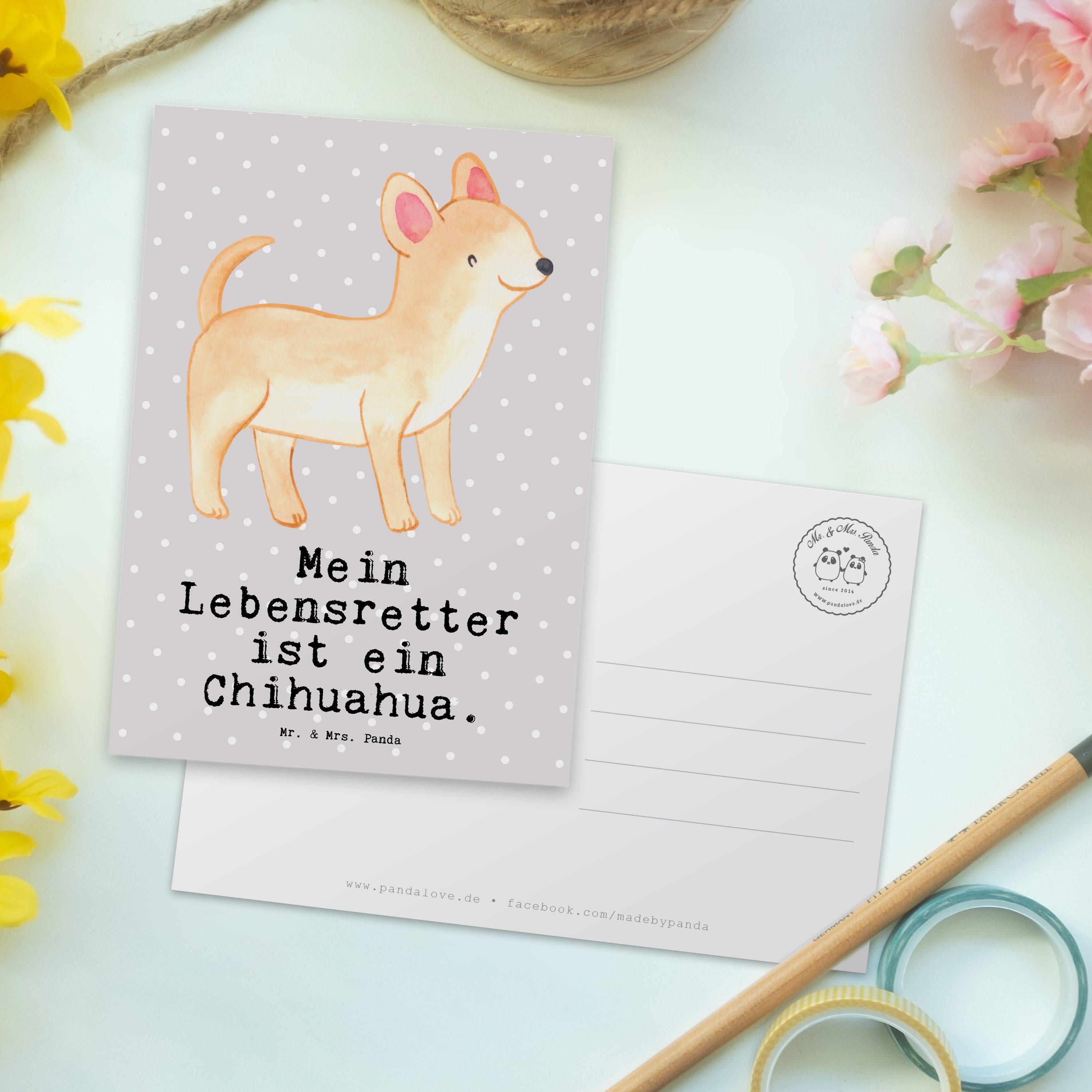 Mr. & Mrs. - Grau Geschenk, H Postkarte Panda - Chihuahua Pastell Geburtstagskarte, Lebensretter