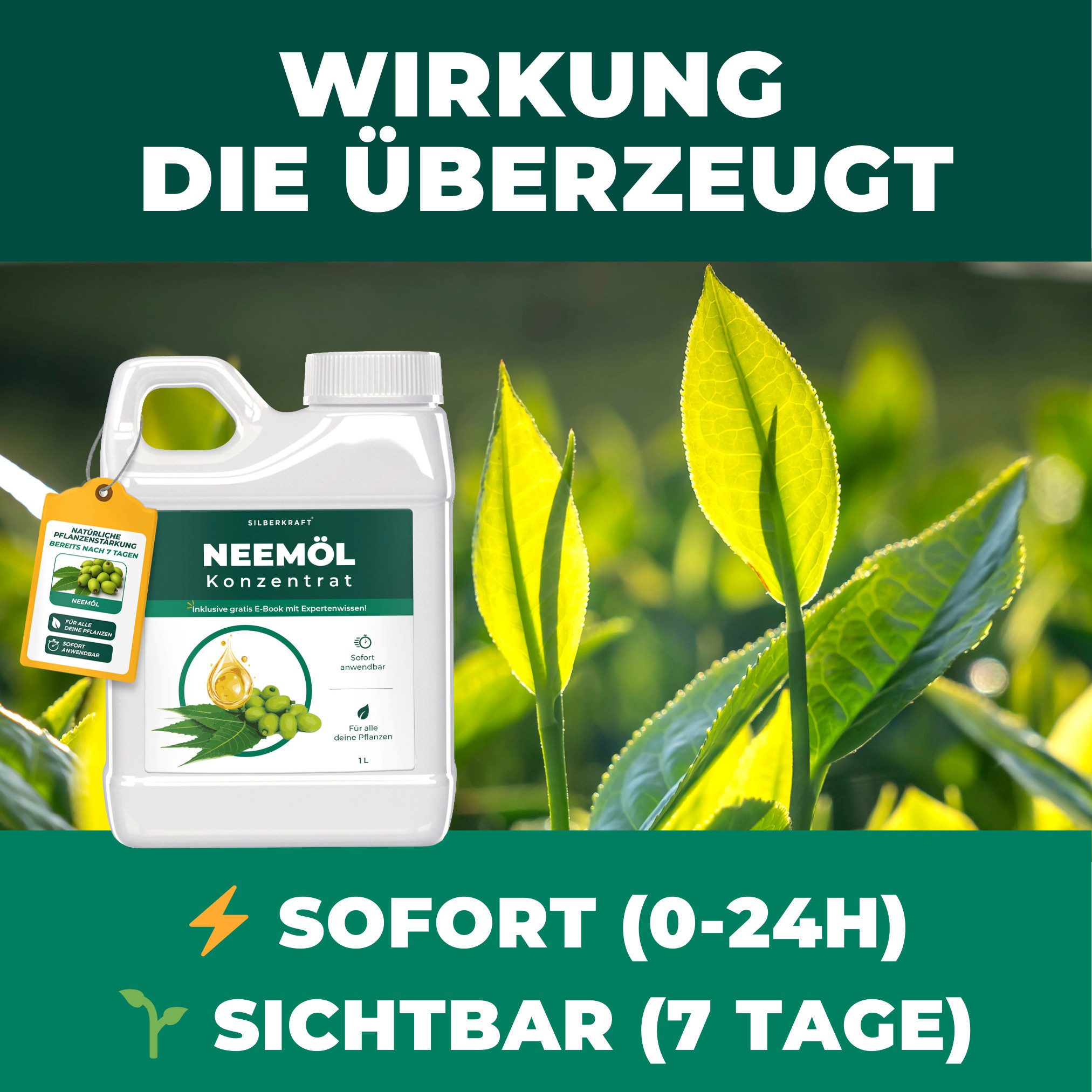 Silberkraft Pflanzenstärkungsmittel Silberkraft Neemöl mit Emulgator Pflanzenschutz inkl. Gratis E-Book, Konzentrat, Stärkt & vitalisiert Pflanzen, sofort einsa – Bild 5 von 5