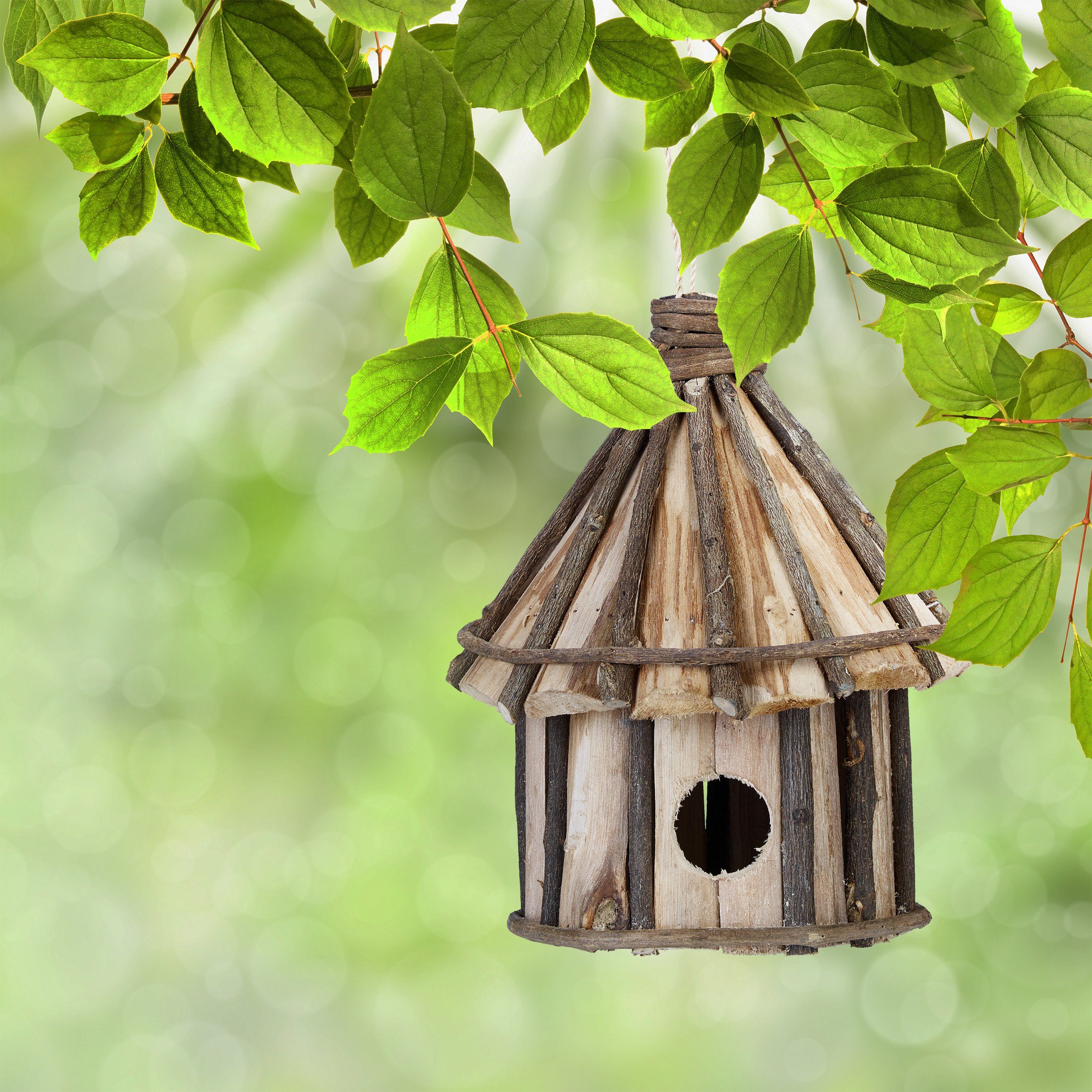 relaxdays Vogelhaus Deko Vogelhaus in verschiedenen günstig online kaufen