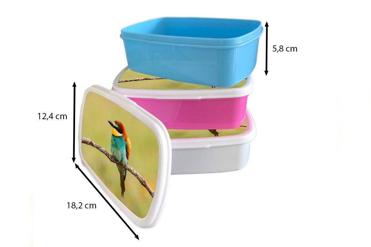 Brotbox MuchoWow Vogel Tiere, Brotdose Bienenfresser Mädchen, - Kunststoff (2-tlg), für Erwachsene, Snackbox, Kunststoff, - Lunchbox Kinder, rosa