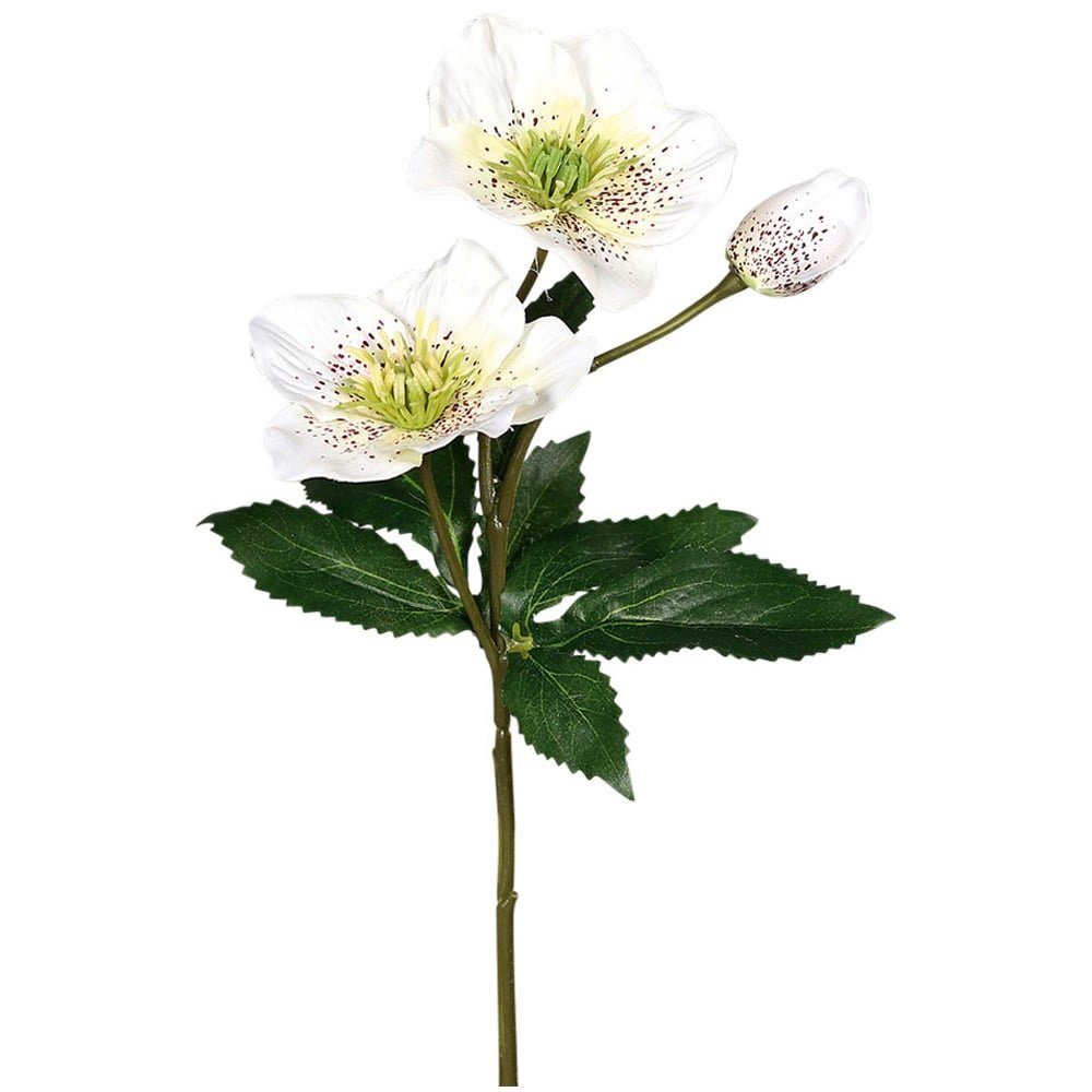 Kunstblume Christrose 2 Blüten & 1 Knospe Kunstblume creme Ø 9+3x35 cm Christrose, matches21 HOME & HOBBY, Höhe 35 cm