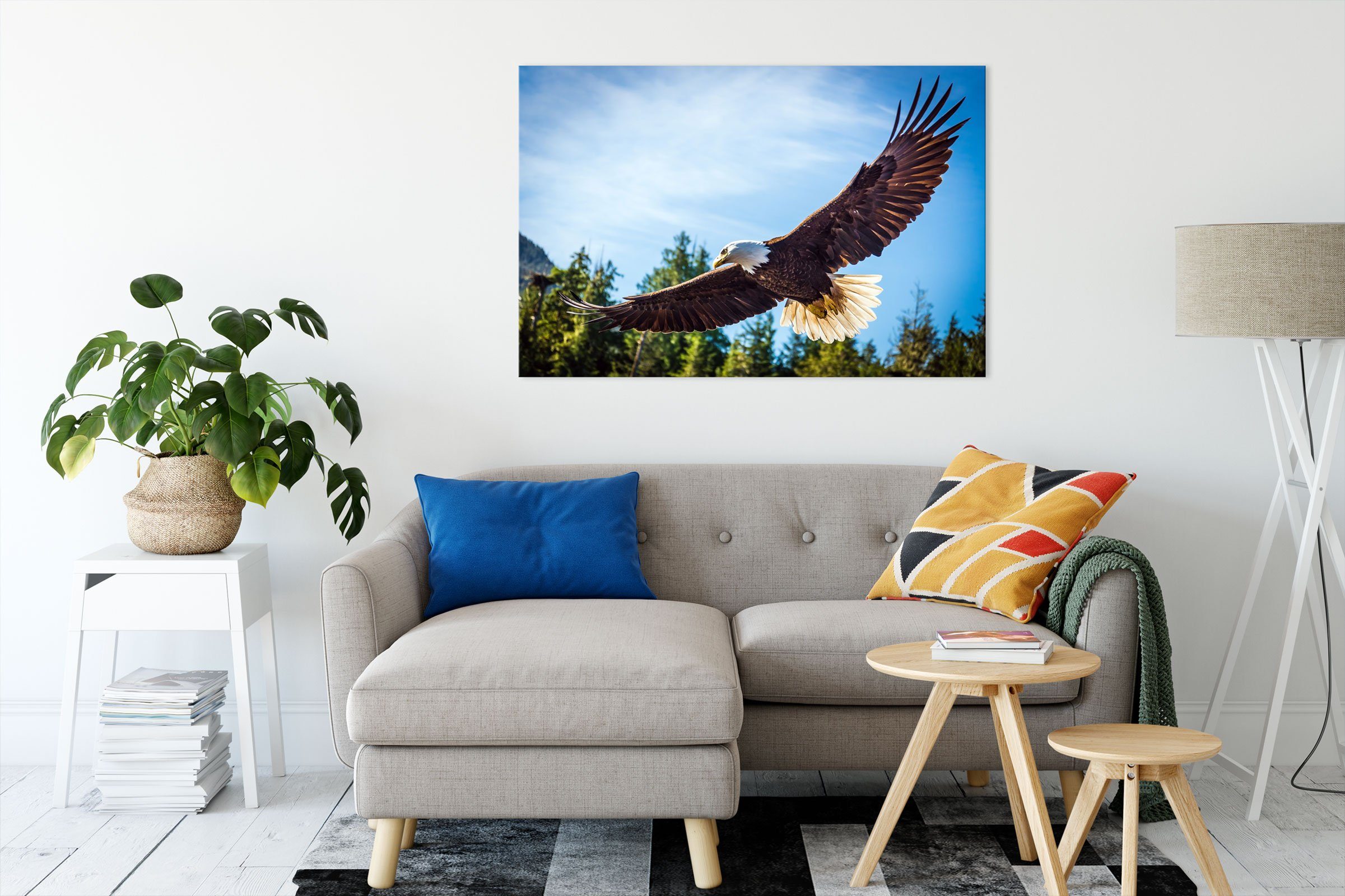 Pixxprint Leinwandbild Adler, Adler (1 St), günstig online kaufen