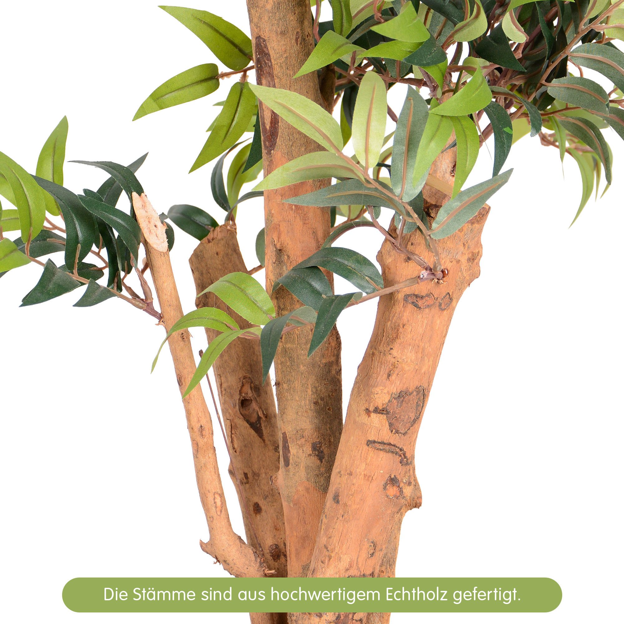 Kunstpflanze Kunstpflanze Ficus mit Echtholzstamm, UNUS HOME, Höhe 80 cm, Künstlicher Baum groß, Kunststoffpflanze – Bild 3 von 5