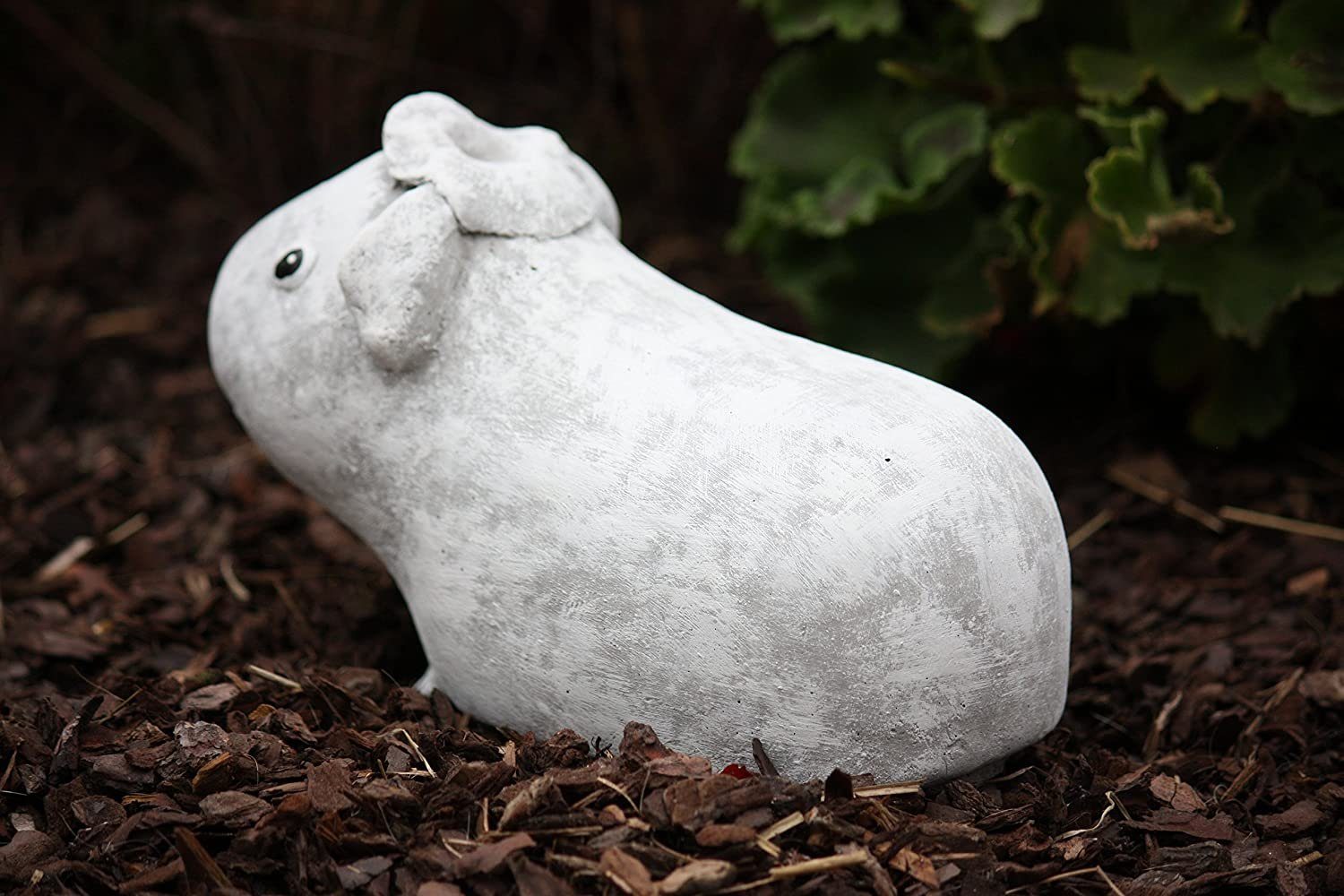 Stone and Style Gartenfigur Frostfeste Steinfigur Meerschweinchen Helmut – Bild 5 von 5