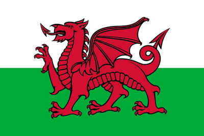 trends4cents Flagge XXL Flagge Fahne mit 3 Messingösen in 250 x 150 cm (Wales), für Fahnenmaste