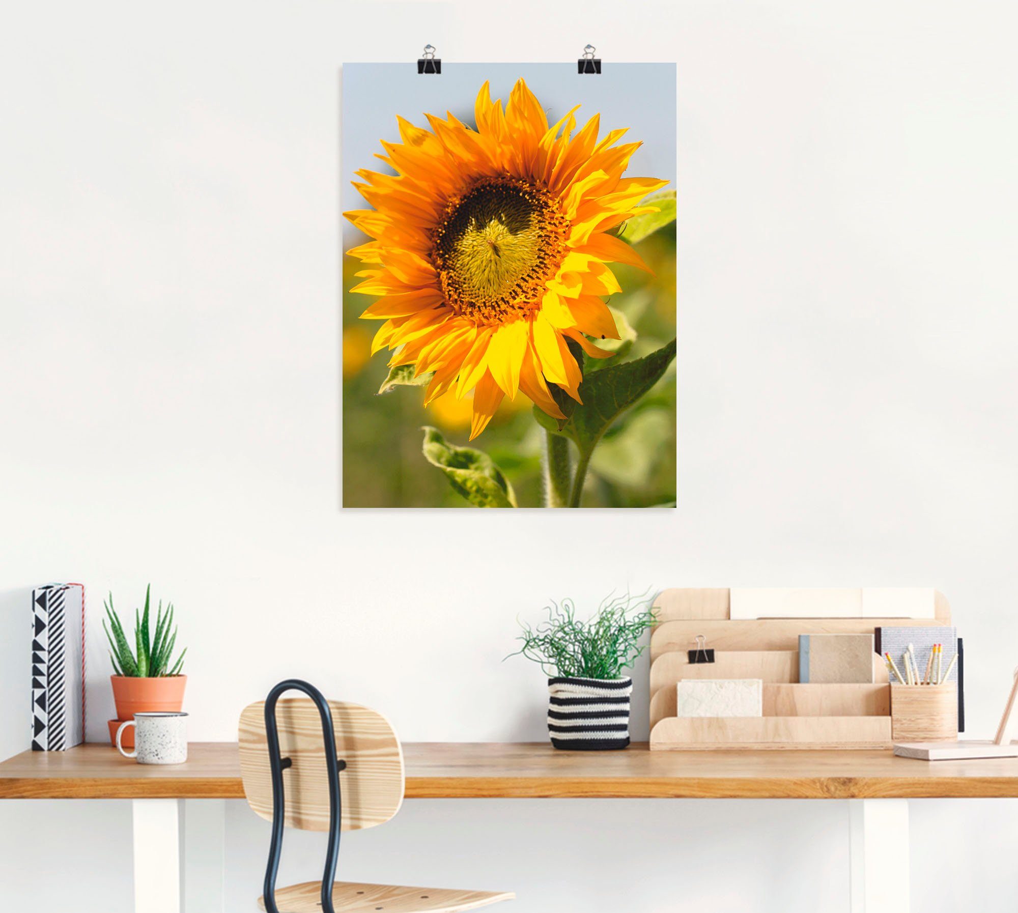 Poster Blumen Größen Sonnenblume, (1 in Leinwandbild, Wandaufkleber als St), Wandbild versch. oder Artland