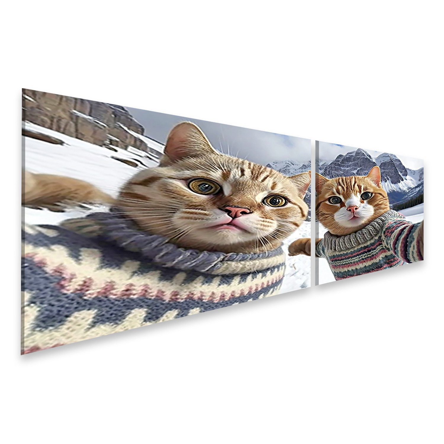 islandburner Leinwandbild Katzen in Pullovern machen Selfie lustige Haustiere Urlaub B Bilder