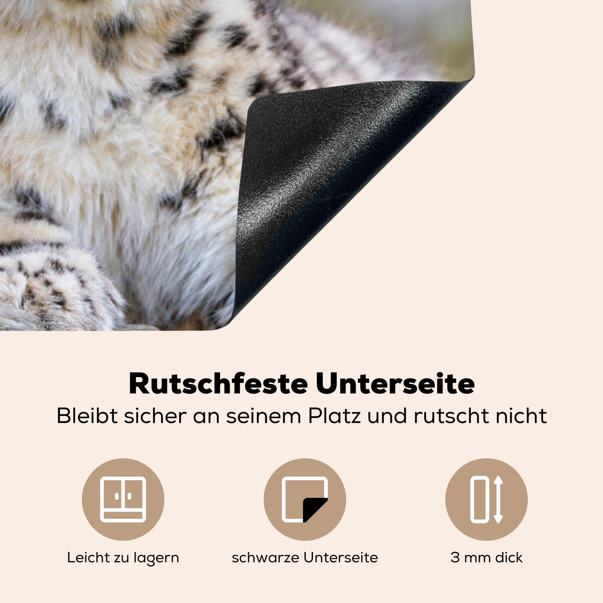 MuchoWow Herdblende-/Abdeckplatte Schneeleopard - Jungtier für Stein, (1 Arbeitsplatte 83x51 - küche cm, Vinyl, tlg), Ceranfeldabdeckung