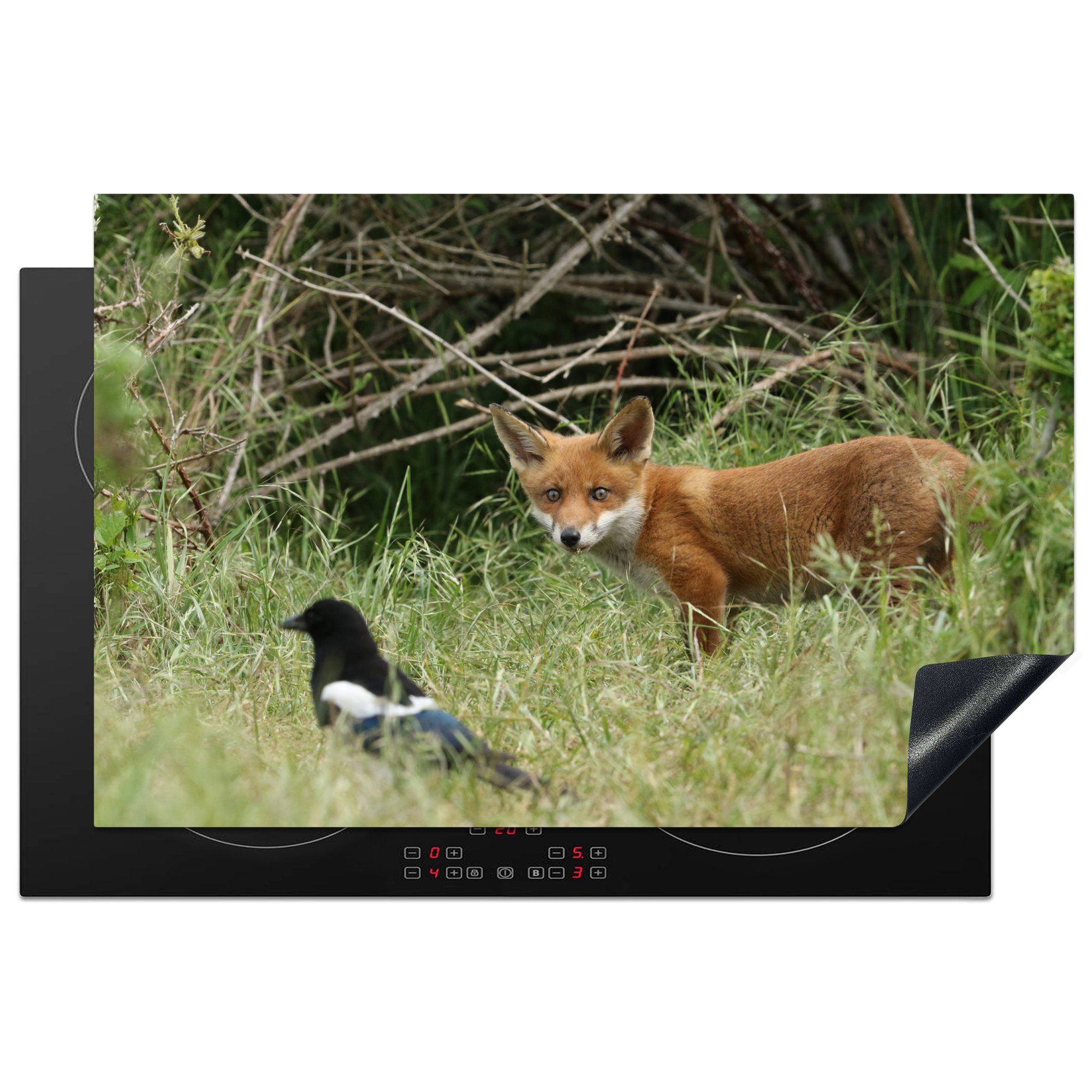 81x52 cm, Herdblende-/Abdeckplatte Induktionskochfeld für Schutz Tiere MuchoWow - (1 die tlg), Vinyl, Vogel Fuchs, küche, Ceranfeldabdeckung -