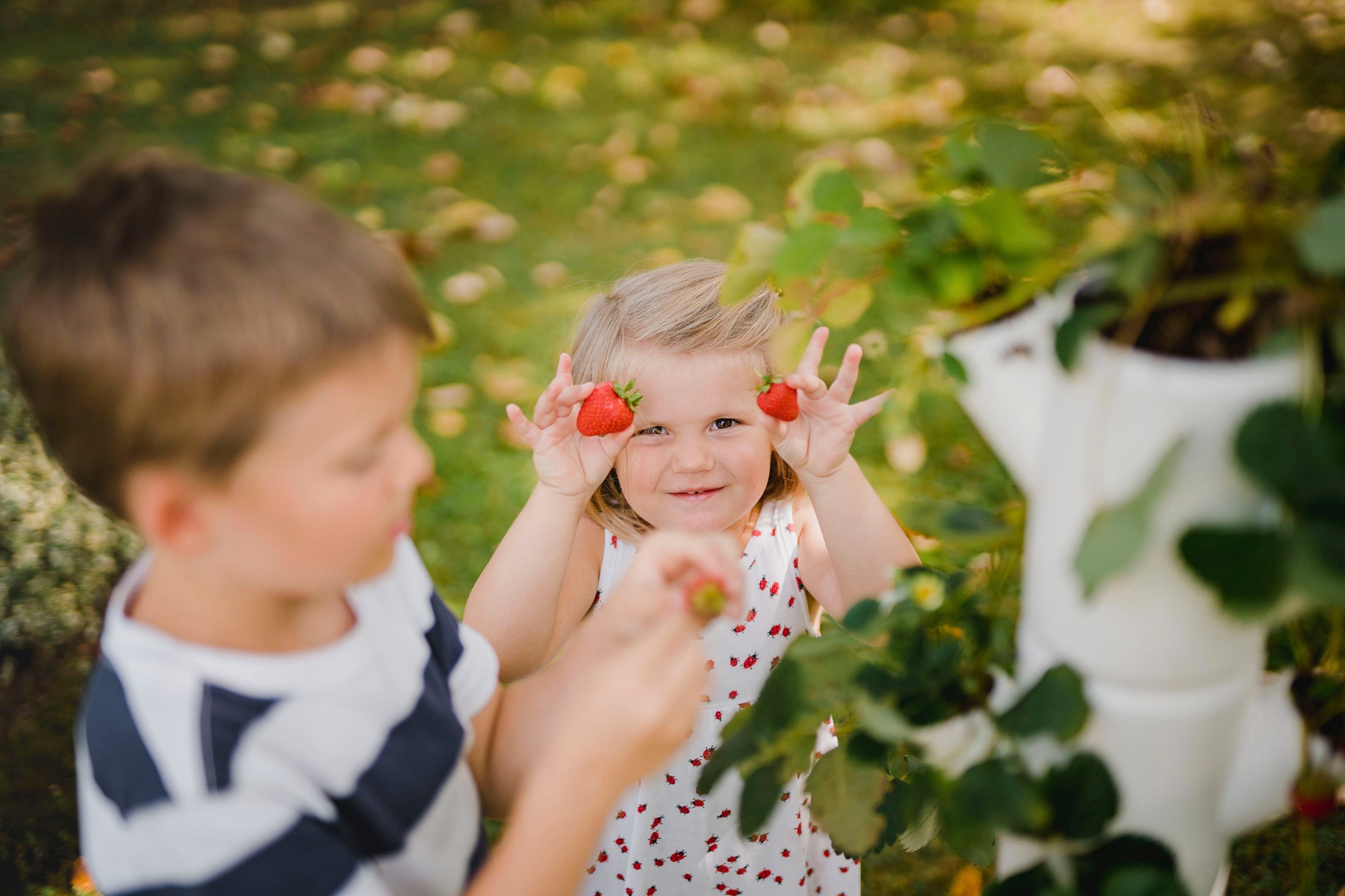 inkl. Etagen gemacht Pflanzkübel Untersetzer, 6 Garden SISSI weiß Gusta Erdbeerbaum, leicht STRAWBERRY anbauen Erdbeeren