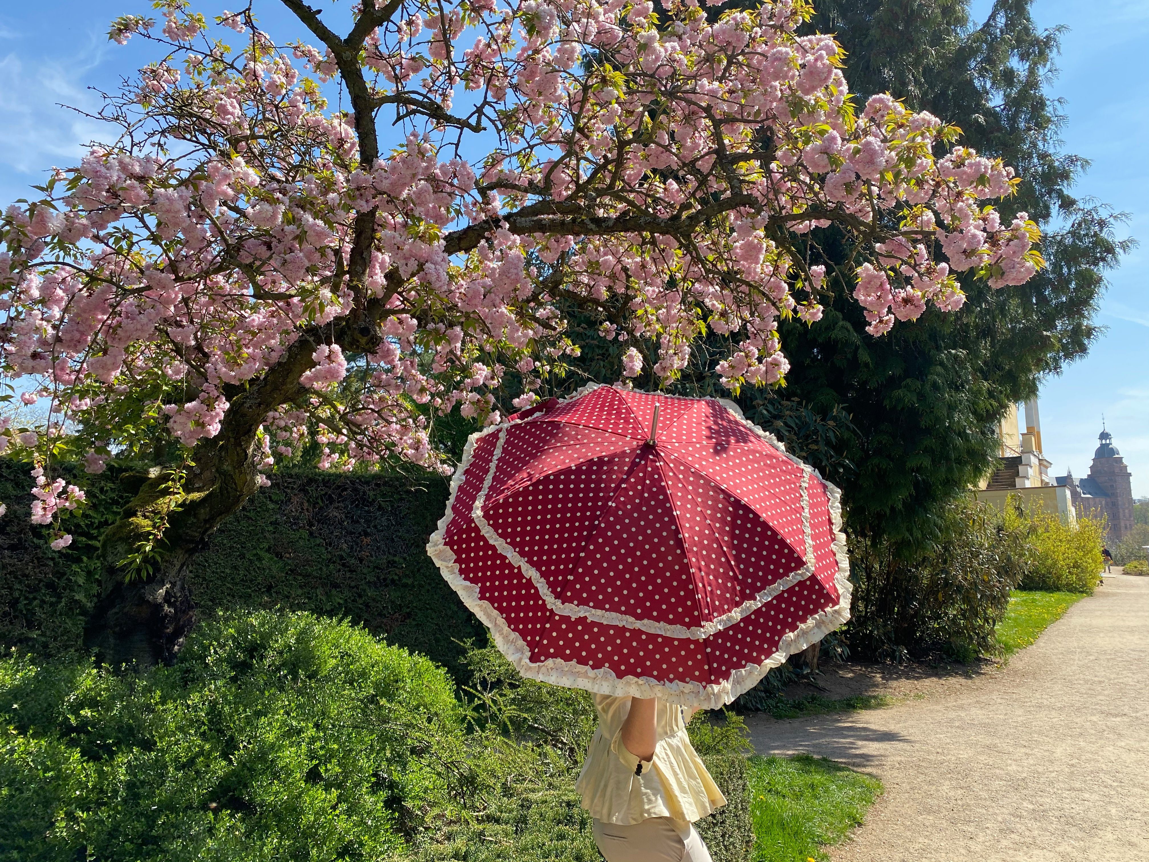 von Lilienfeld Stockregenschirm Mary, mit in zwei Sonnenschirm Rüschenkanten cremen Hochzeitsschirm Regenschirm Punkten bordeaux