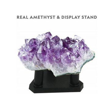 NATIONAL GEOGRAPHIC Lernspielzeug RTNGPCRYSTAL, Lila Purple Crystal