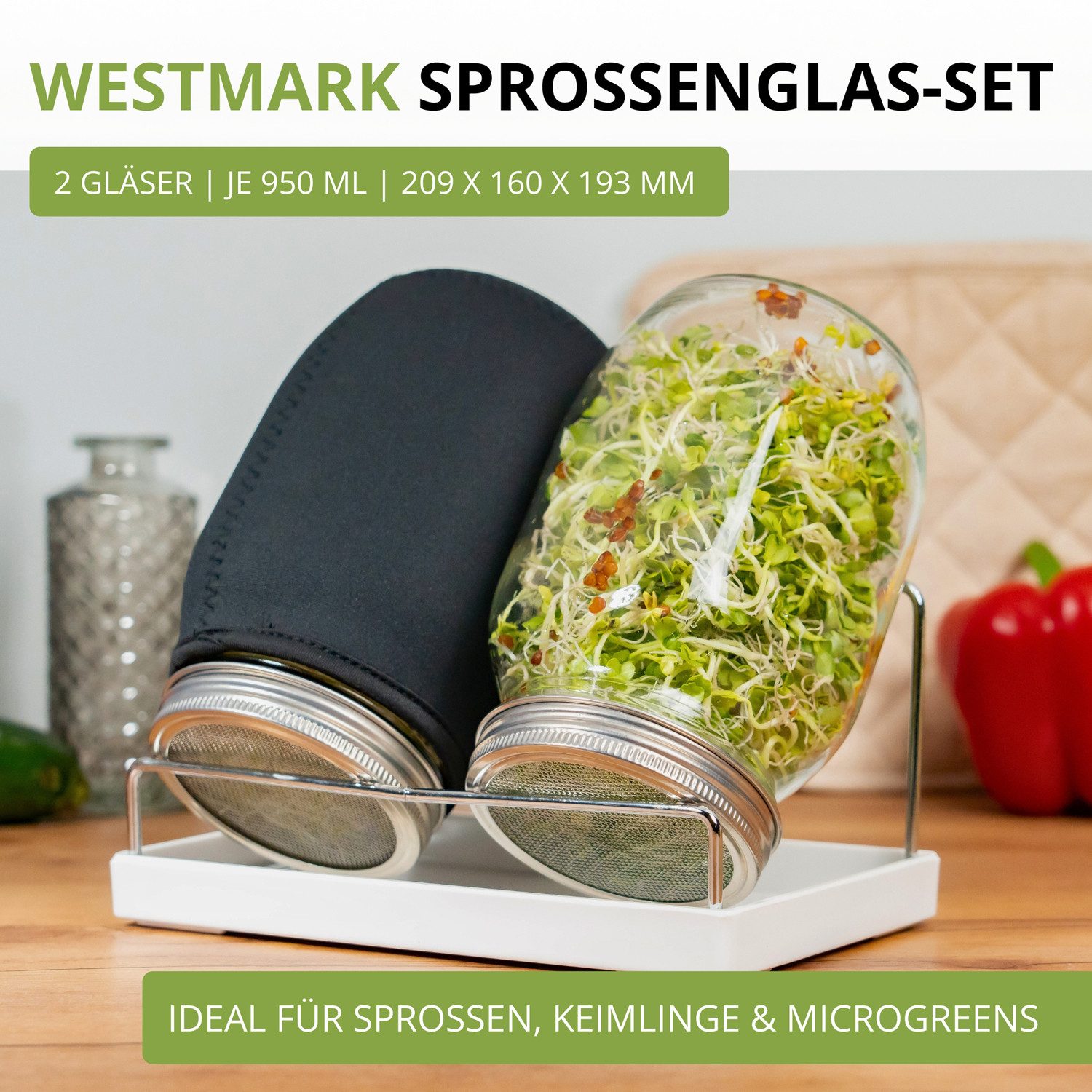 WESTMARK Anzuchttopf Sprossenglas-Set, 2 Gläser, 950 ml