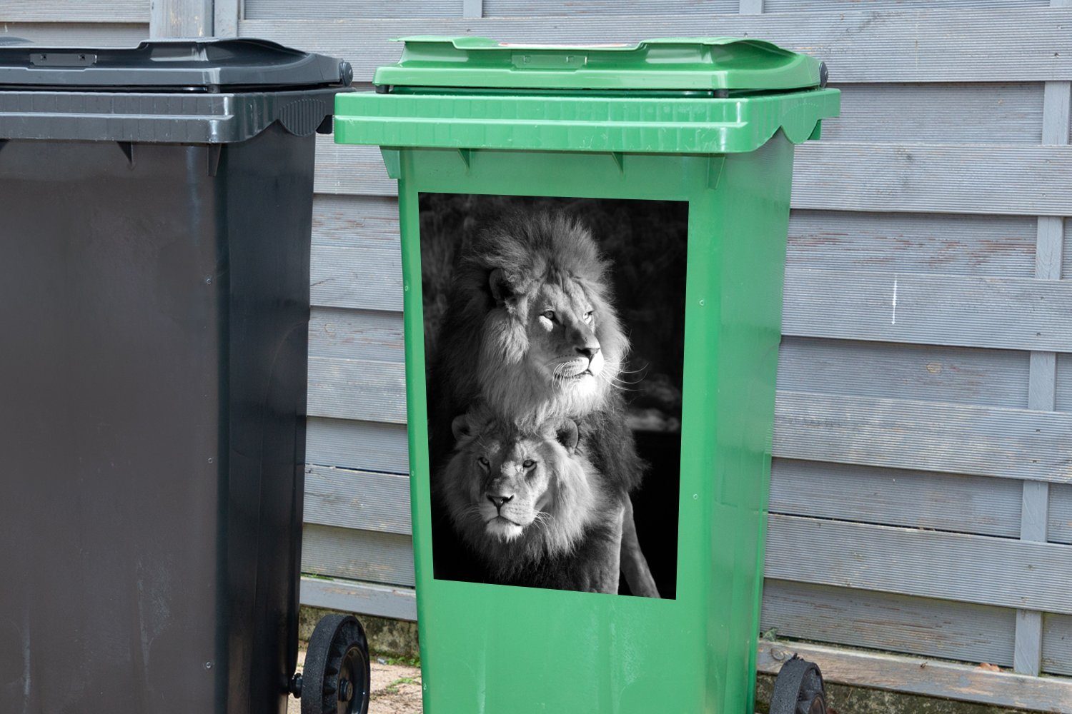Mülltonne, weiß Zwei Abfalbehälter Löwen - Mülleimer-aufkleber, und Container, (1 MuchoWow schwarz Wandsticker Sticker, St),