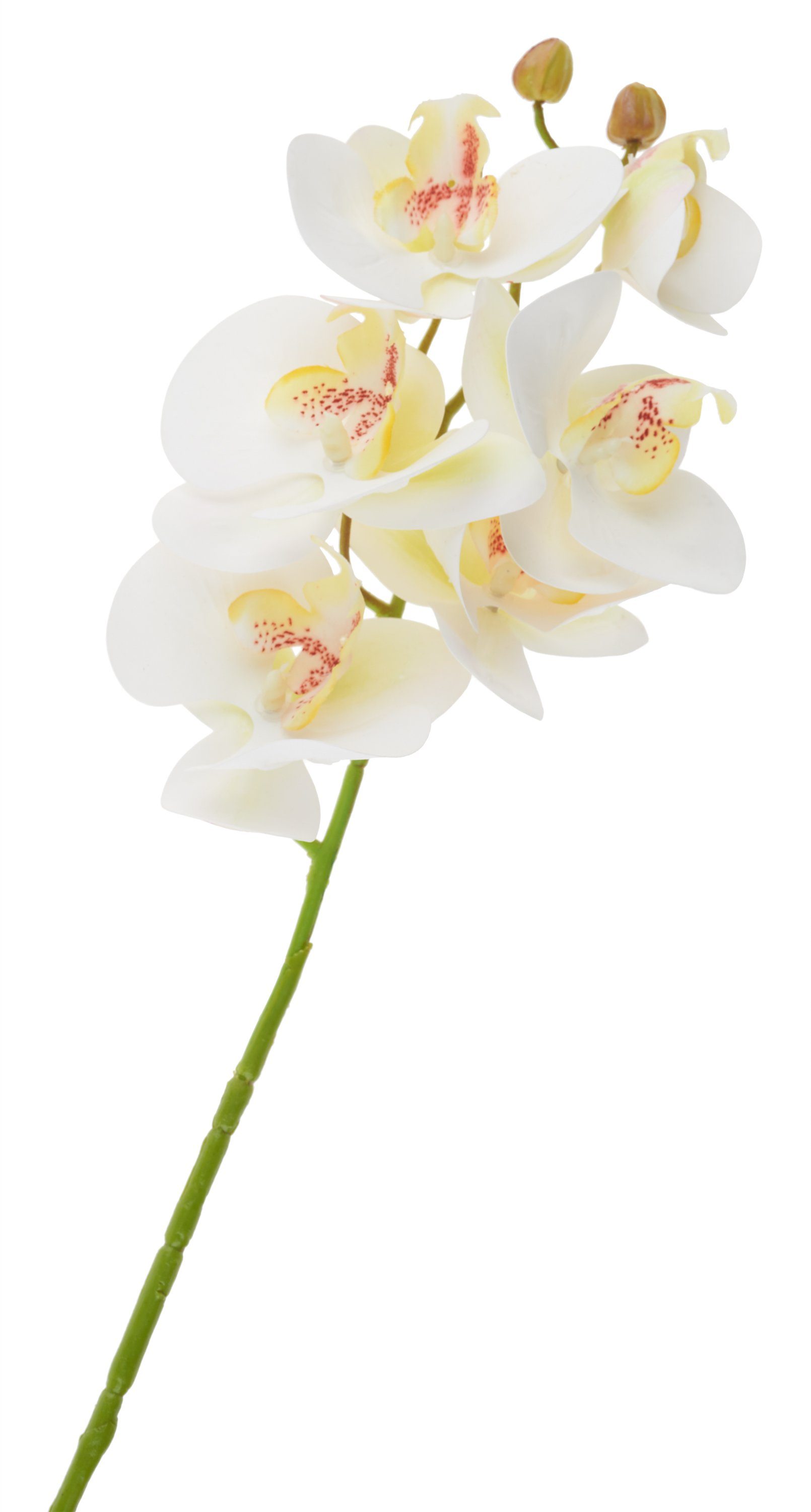 Kunstblume VBS Orchidee Einzelstiel, Weiss. € 3,99