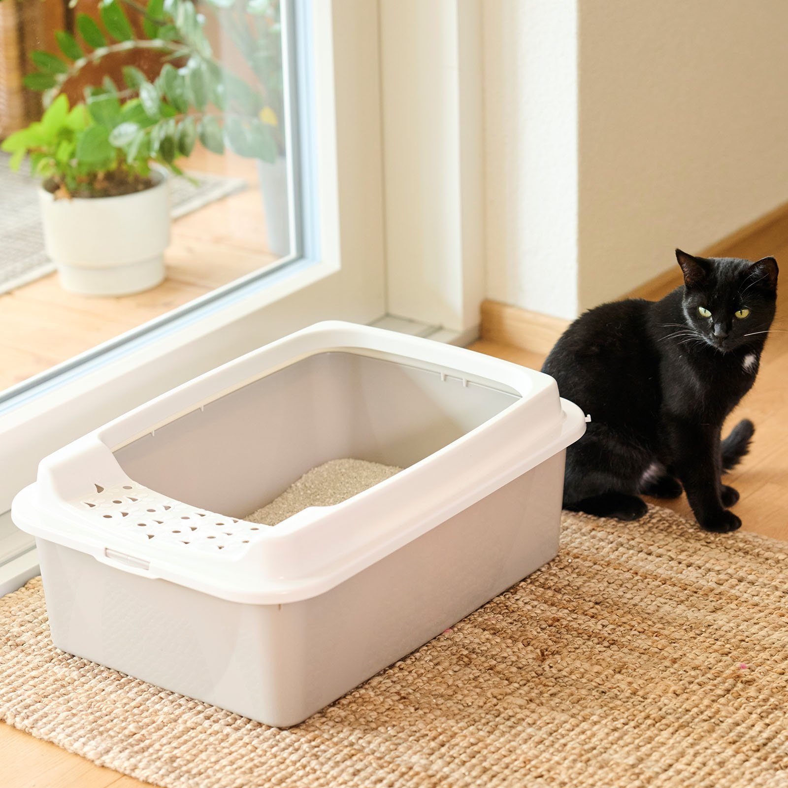 ROTHO Katzentoilette